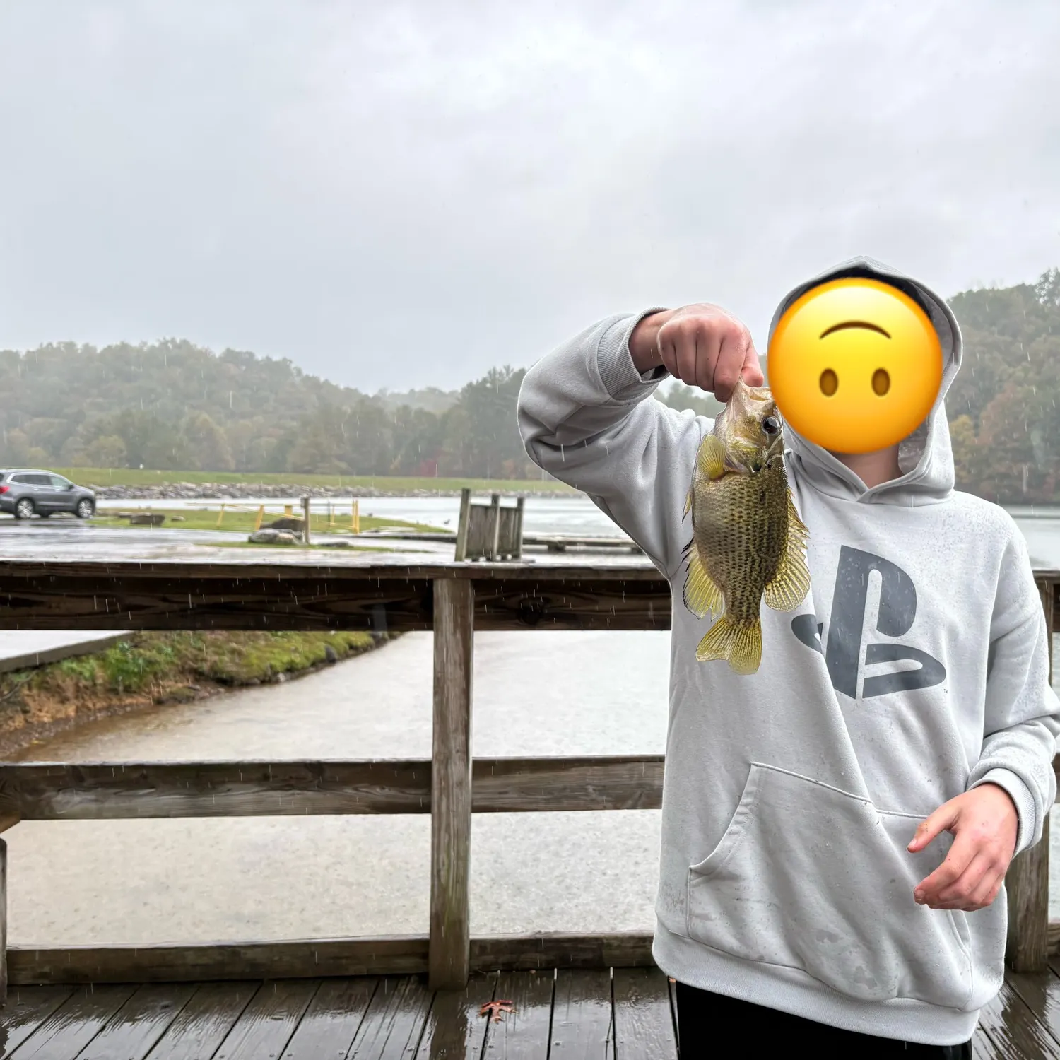 Rock bass caught on Fishbrain