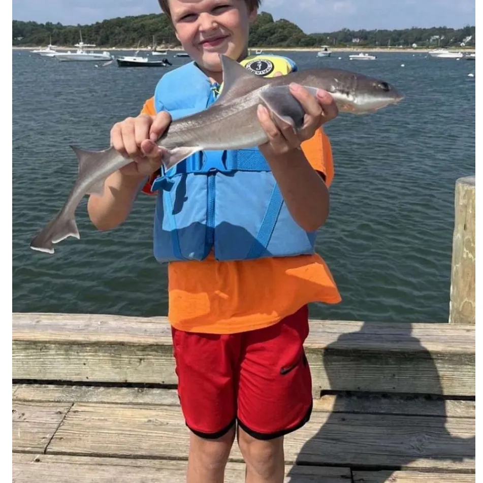 The most recent Dusky smooth-hound catches on Fishbrain