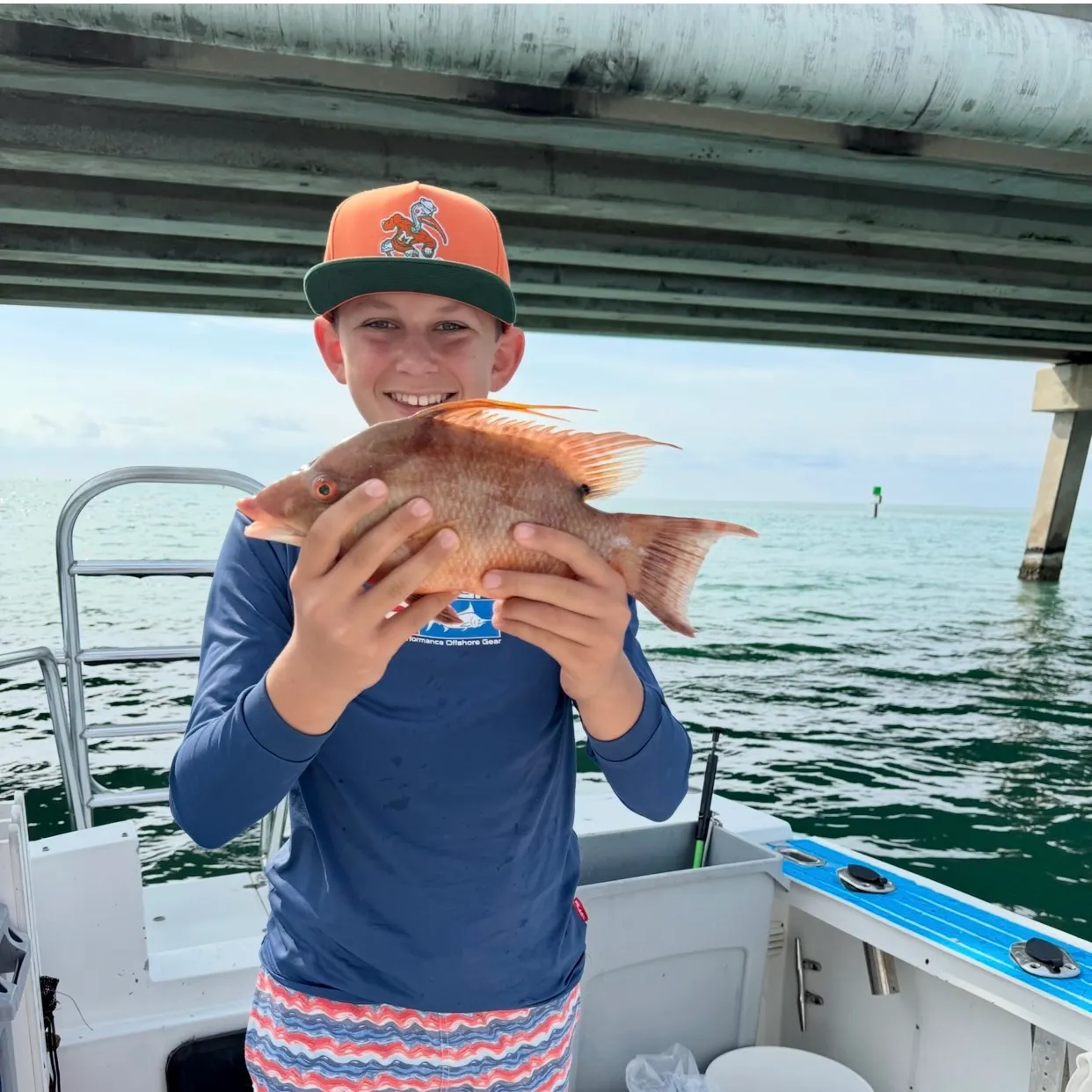 The most recent Hogfish catches on Fishbrain