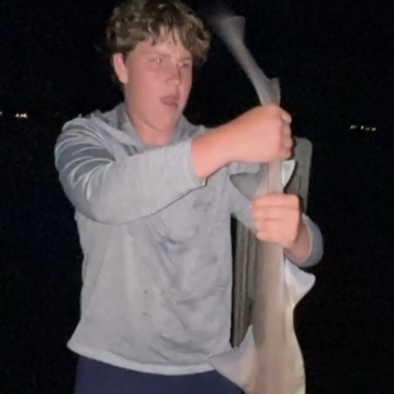 Dusky smooth-hound caught on Fishbrain
