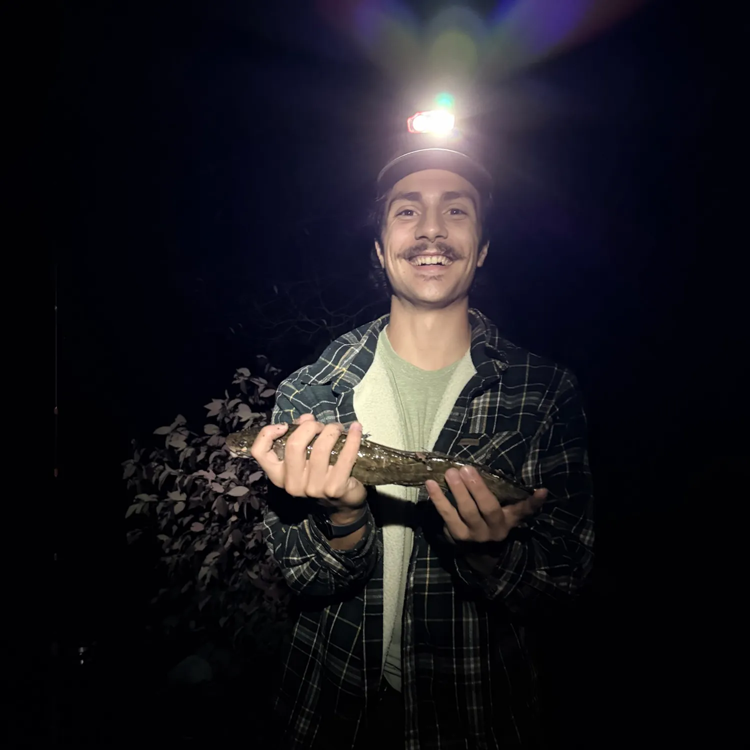 The most recent Burbot catches on Fishbrain