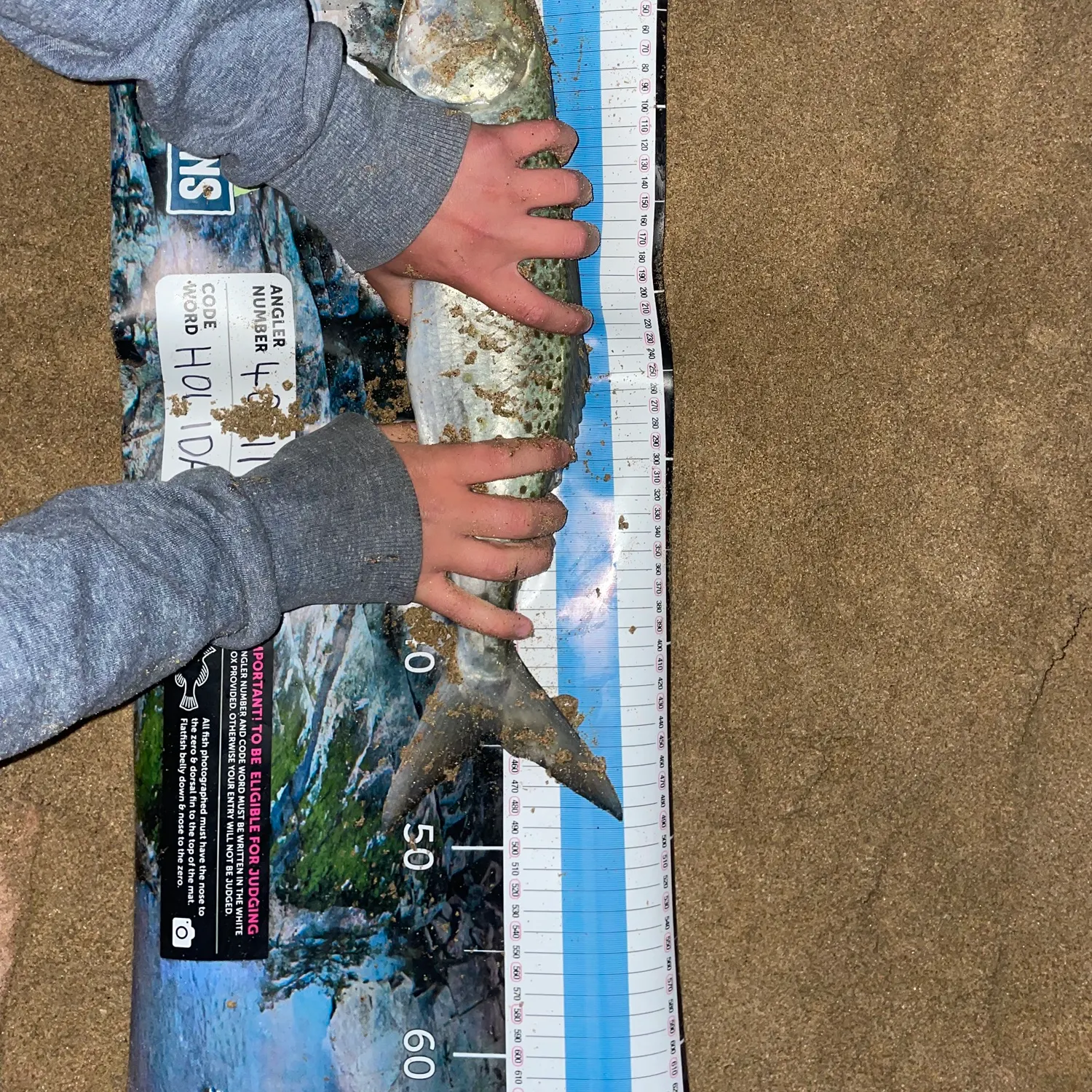 Eastern Australian salmon caught on Fishbrain