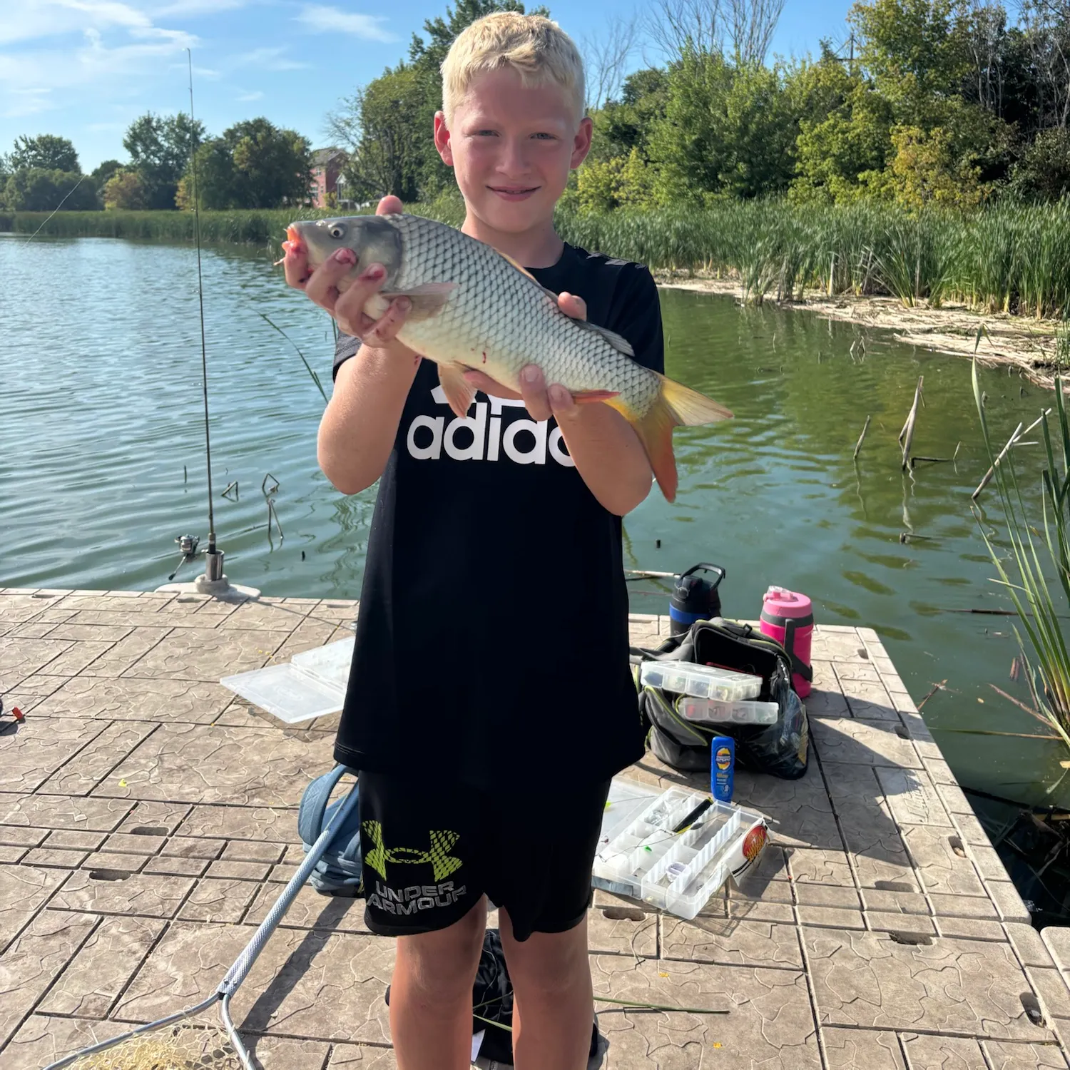 Common carp caught on Fishbrain