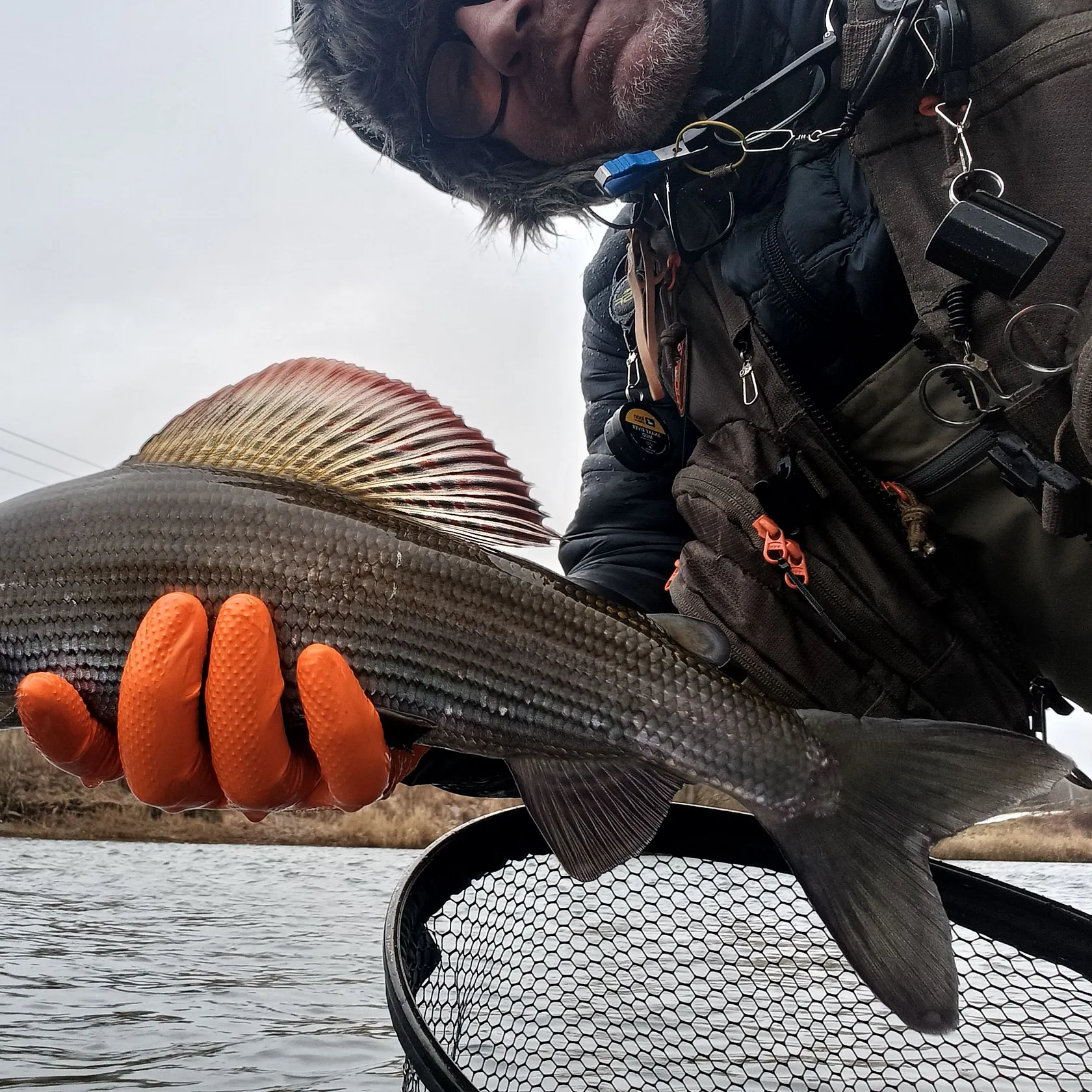 The most recent European grayling catches on Fishbrain