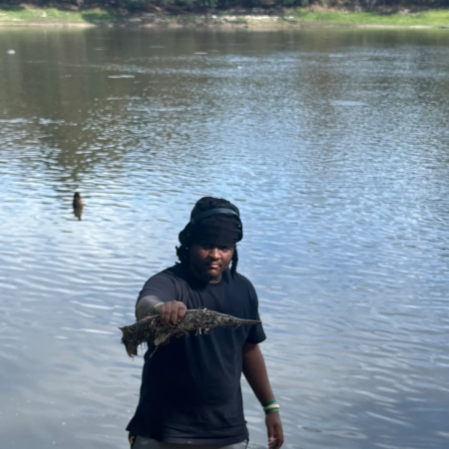 The most recent Shortnose gar catches on Fishbrain