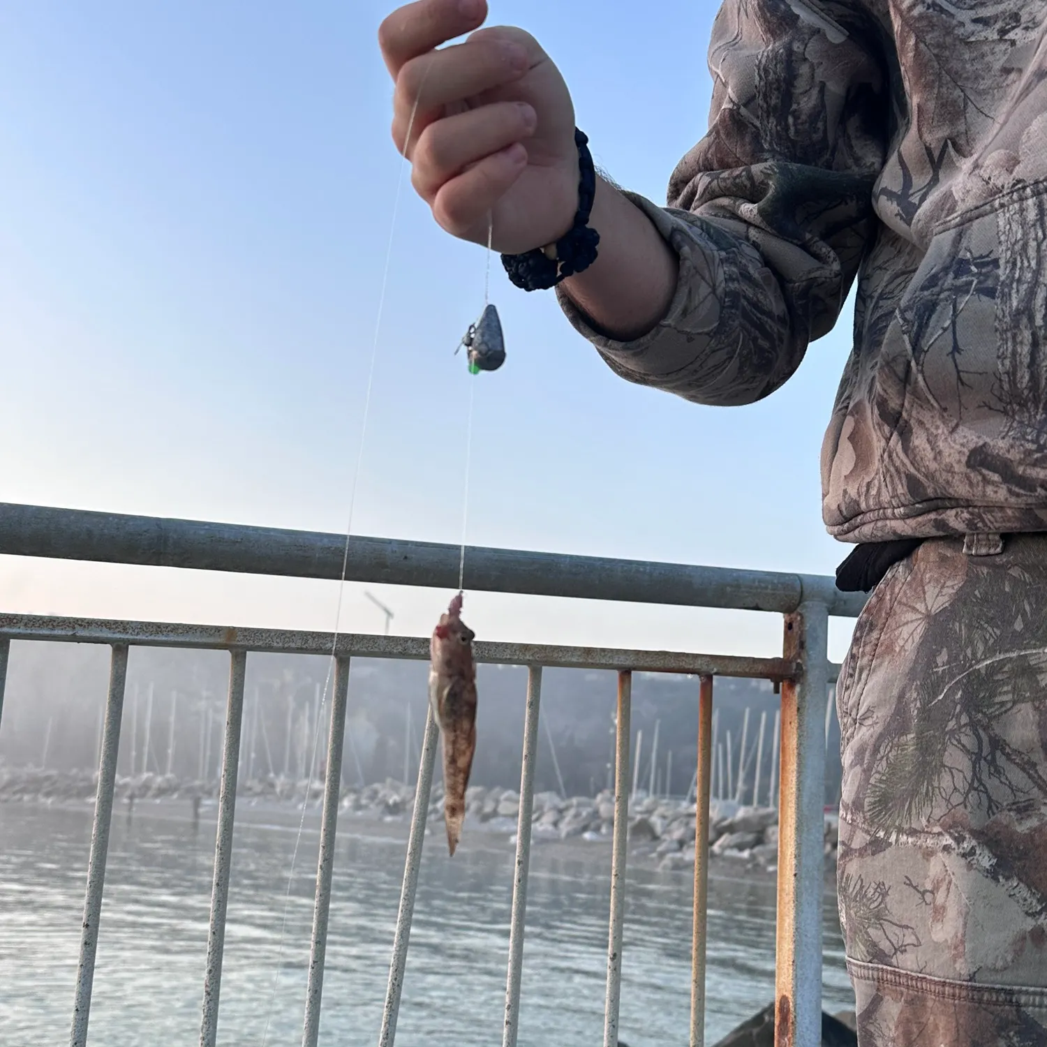 The most recent Stone loach catches on Fishbrain