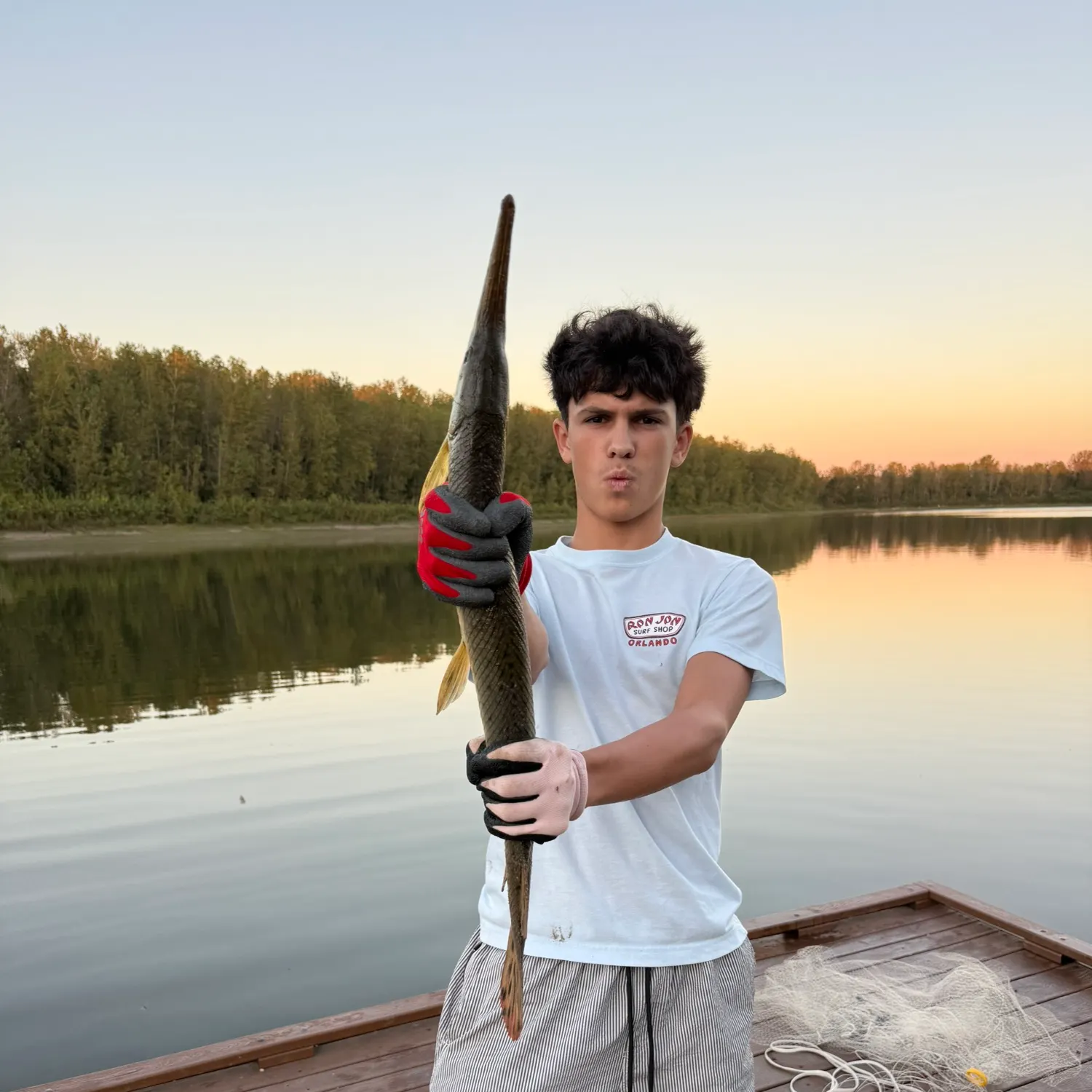 Longnose gar caught on Fishbrain