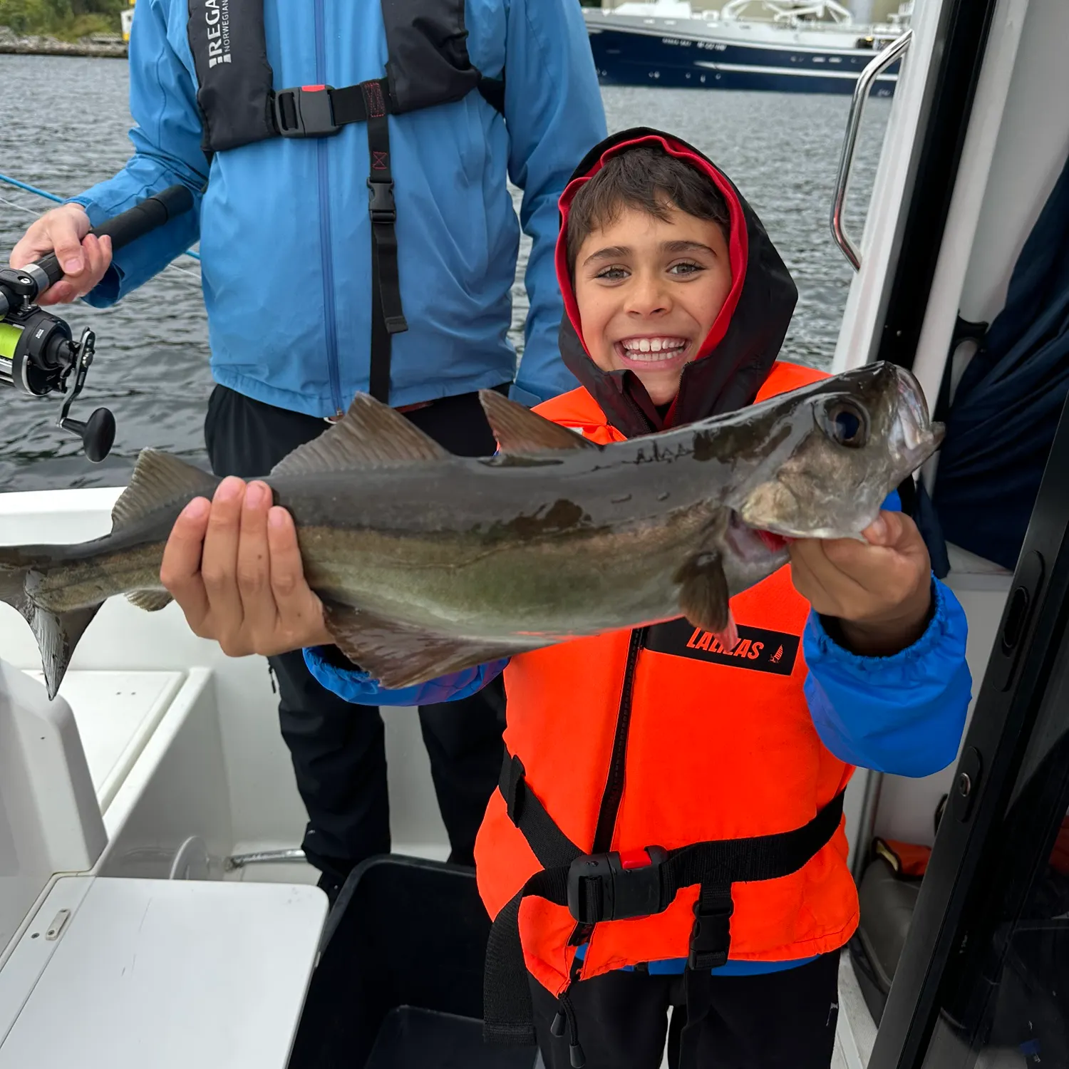 Pollack caught on Fishbrain