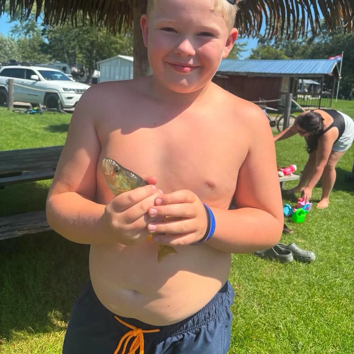 Common logperch caught on Fishbrain