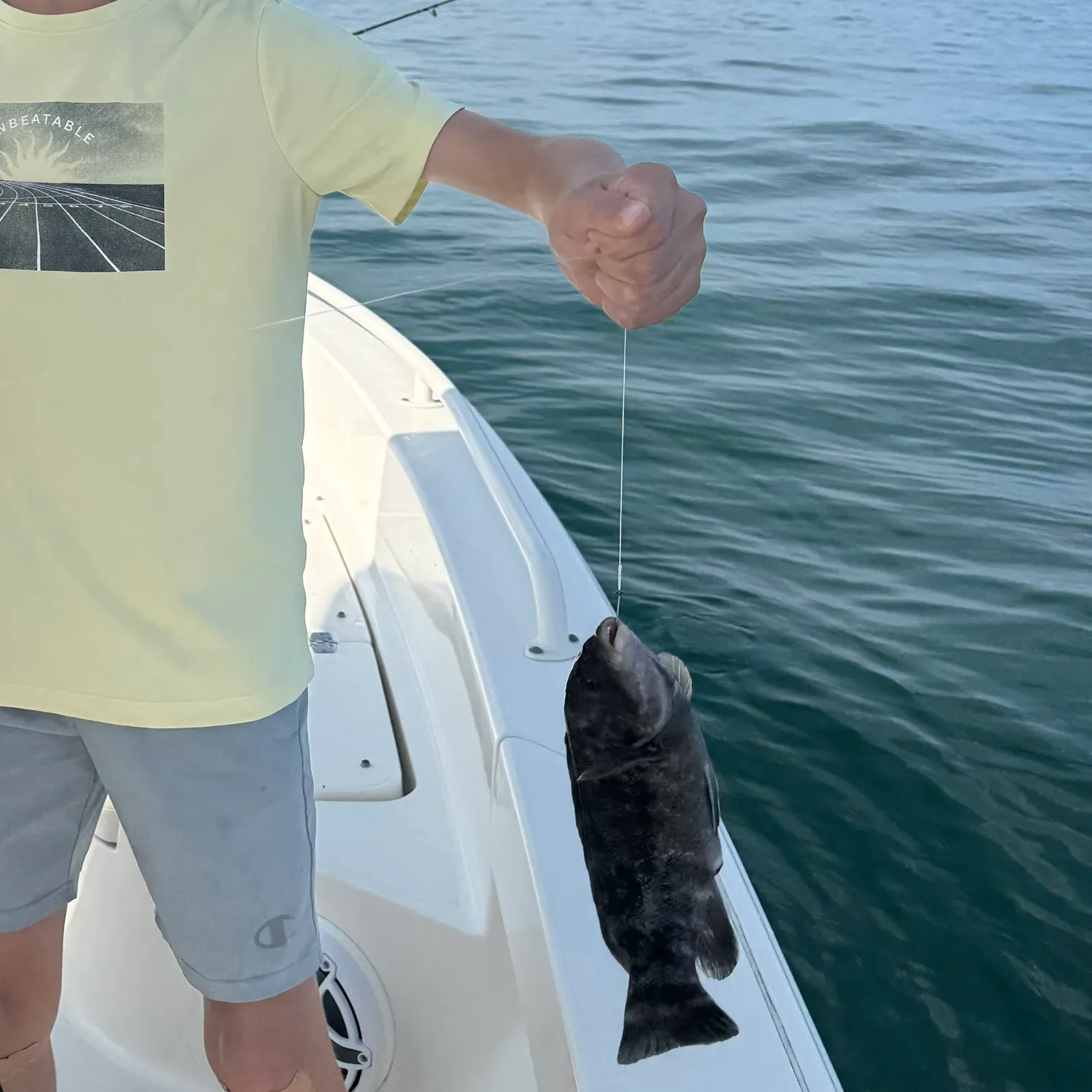 The most recent Tautog catches on Fishbrain