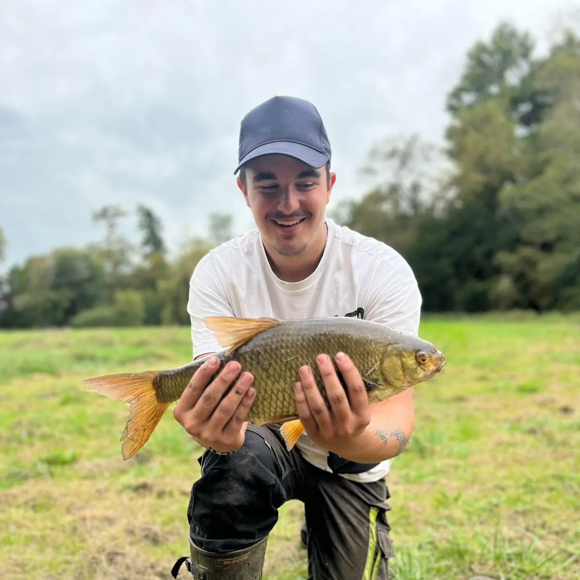 The most recent Crucian carp catches on Fishbrain