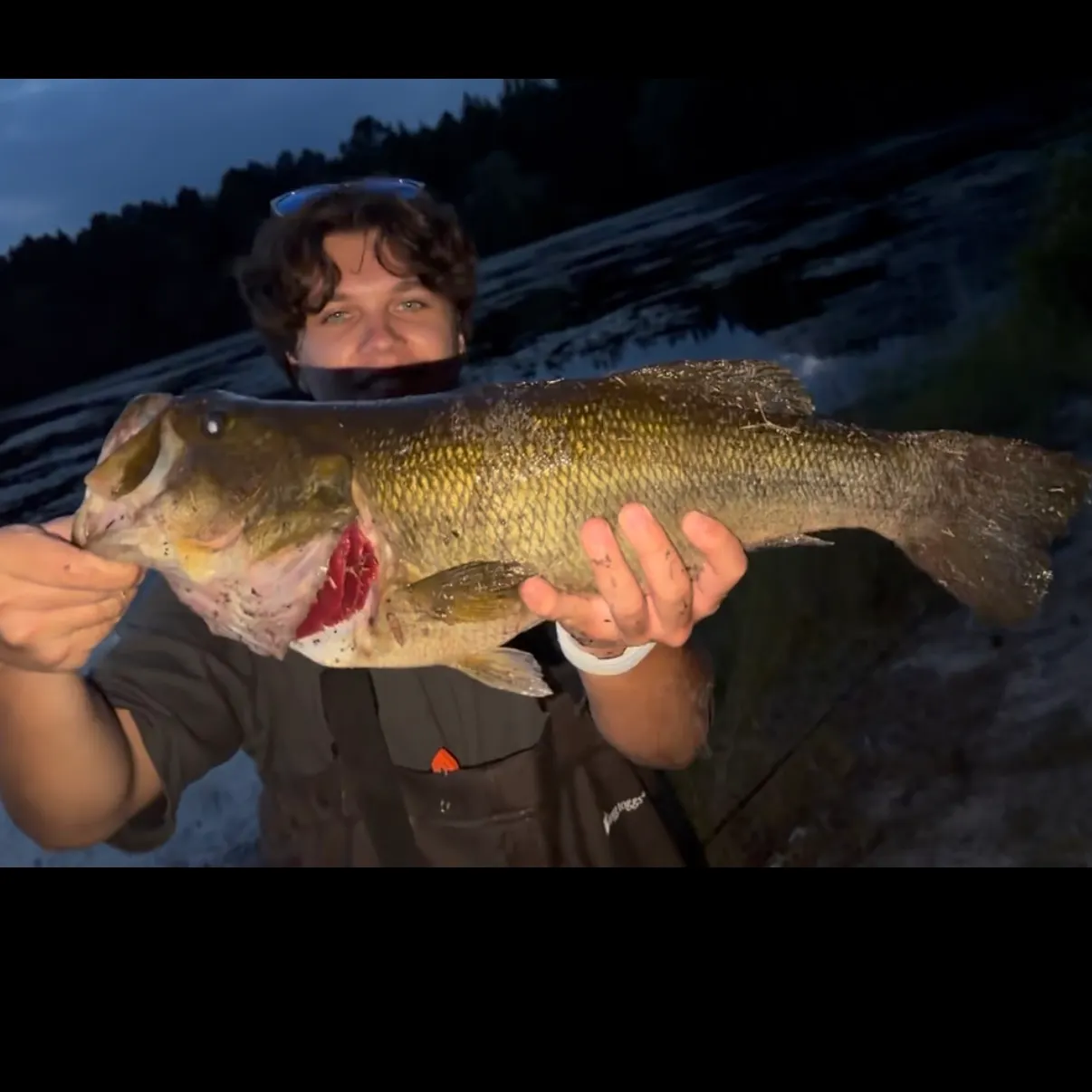 Largemouth bass caught on Fishbrain
