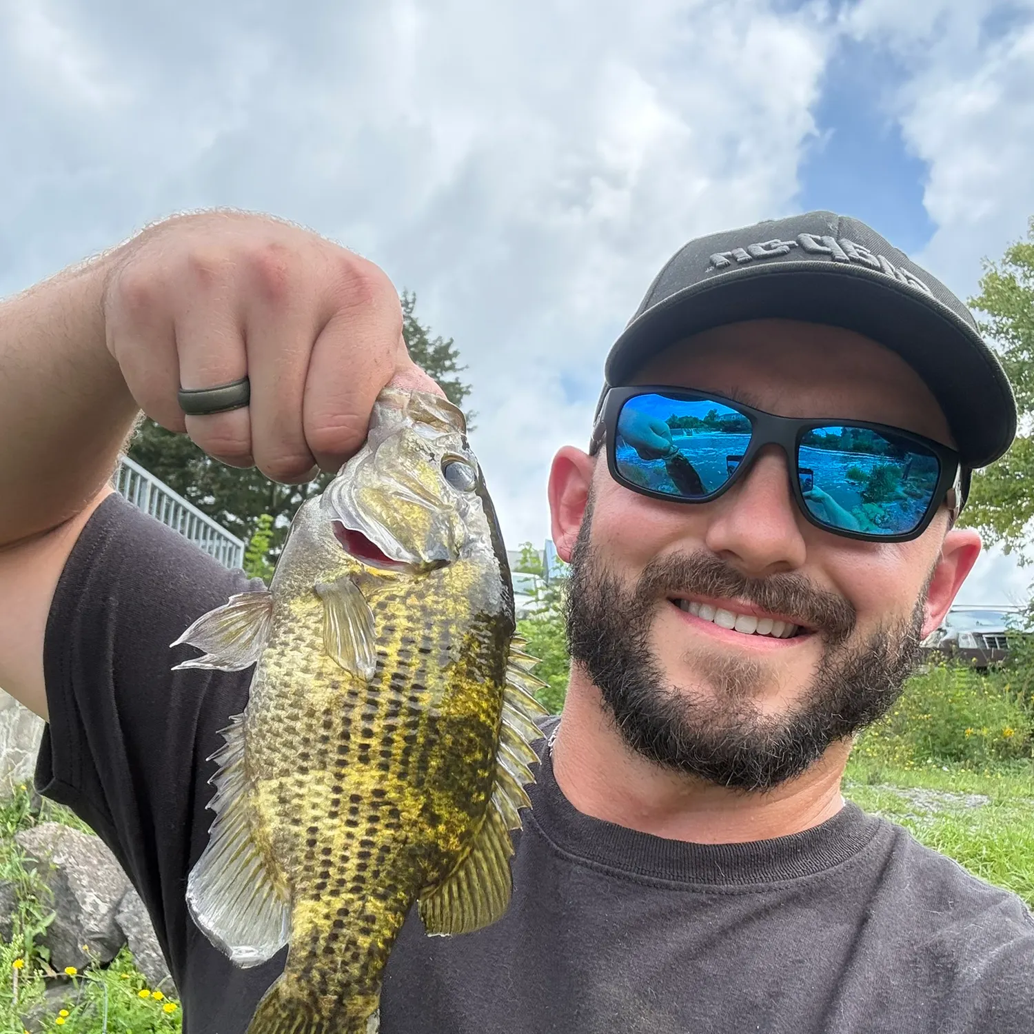 Rock bass caught on Fishbrain