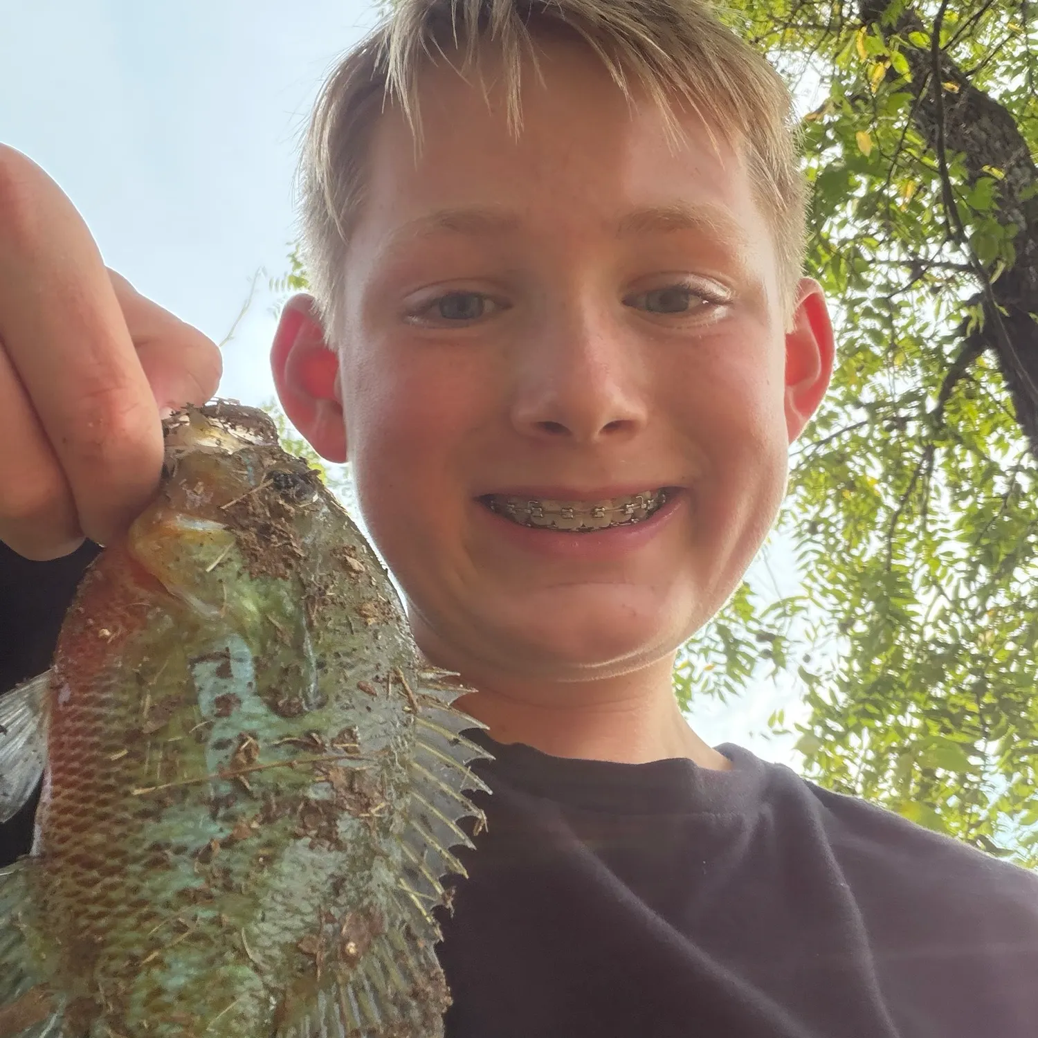 Redear sunfish caught on Fishbrain