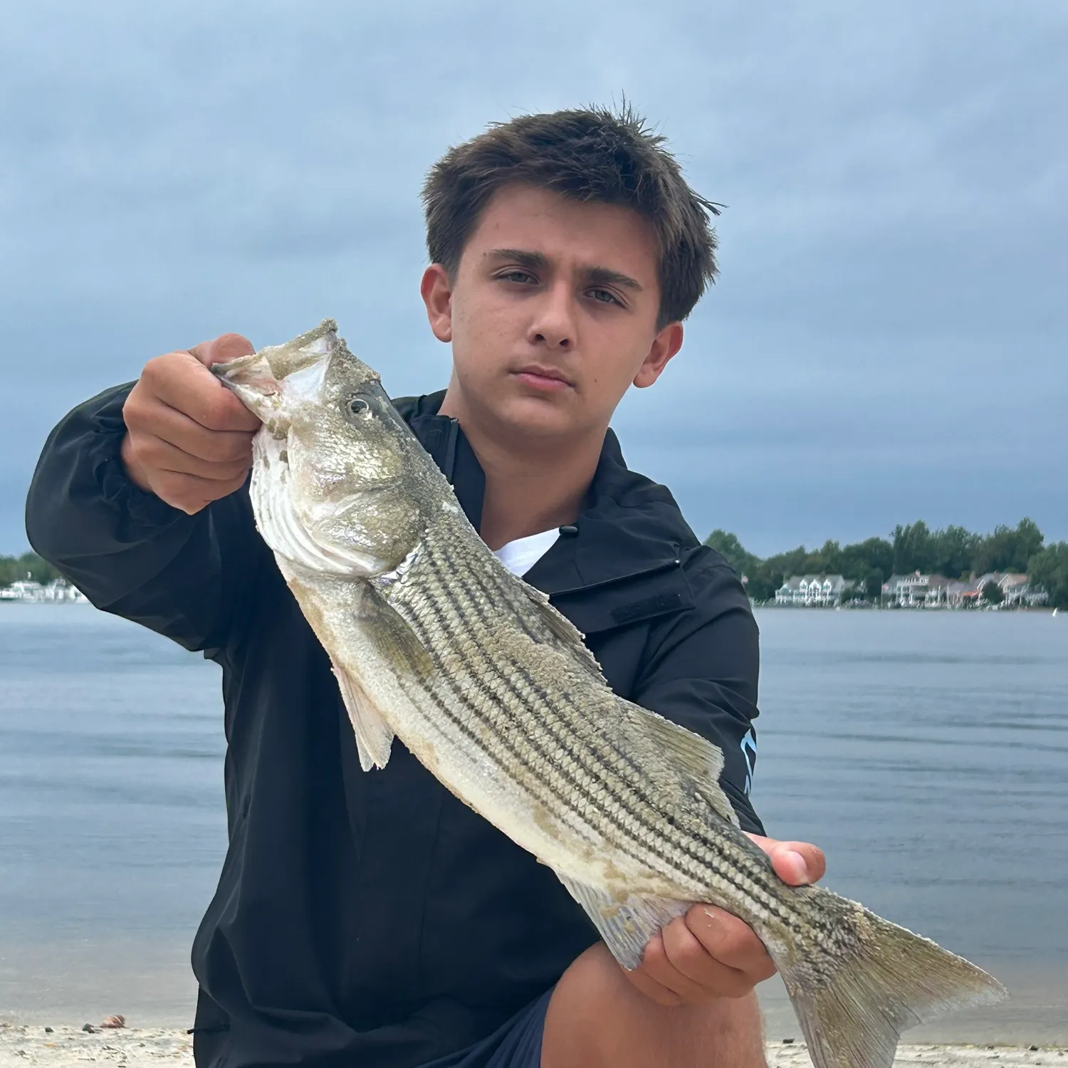 Striped bass caught on Fishbrain