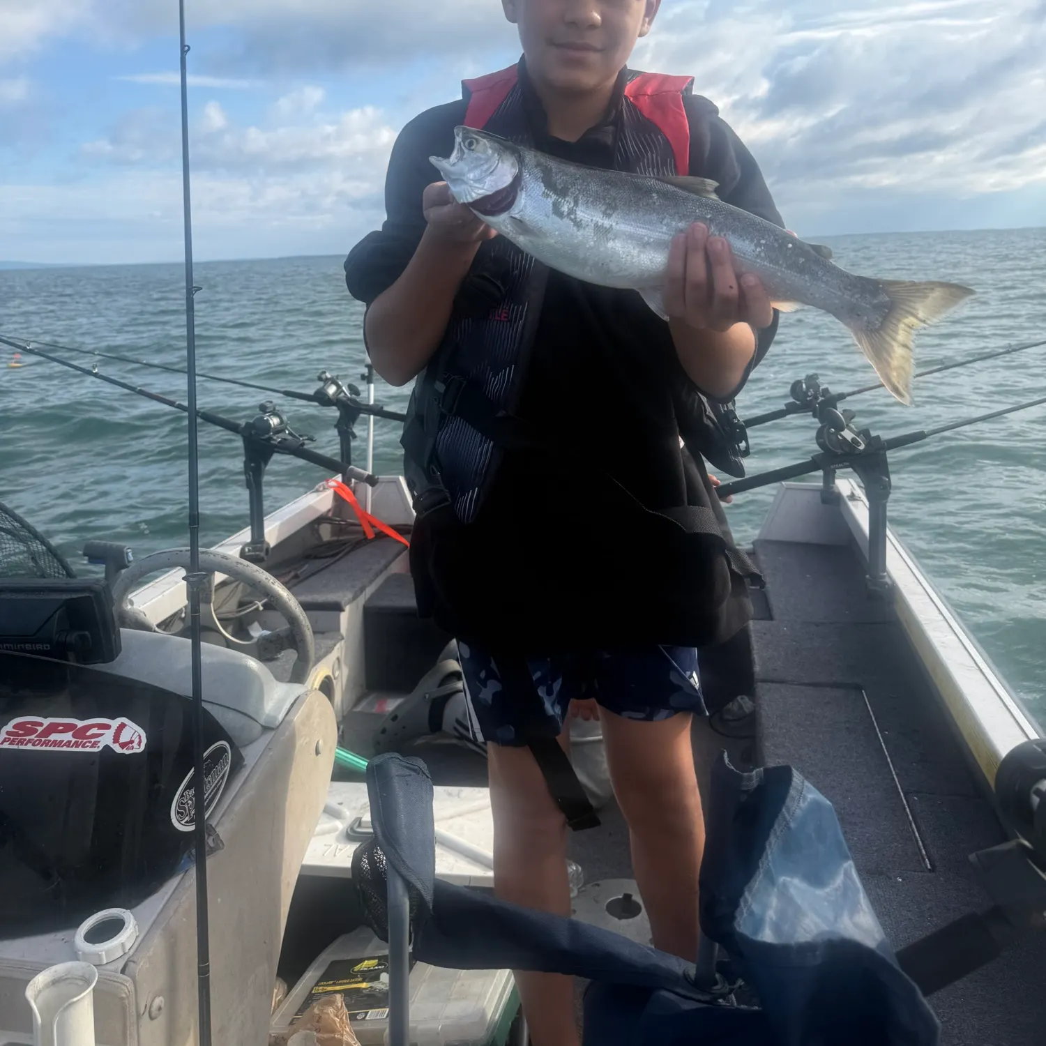 Coho salmon caught on Fishbrain