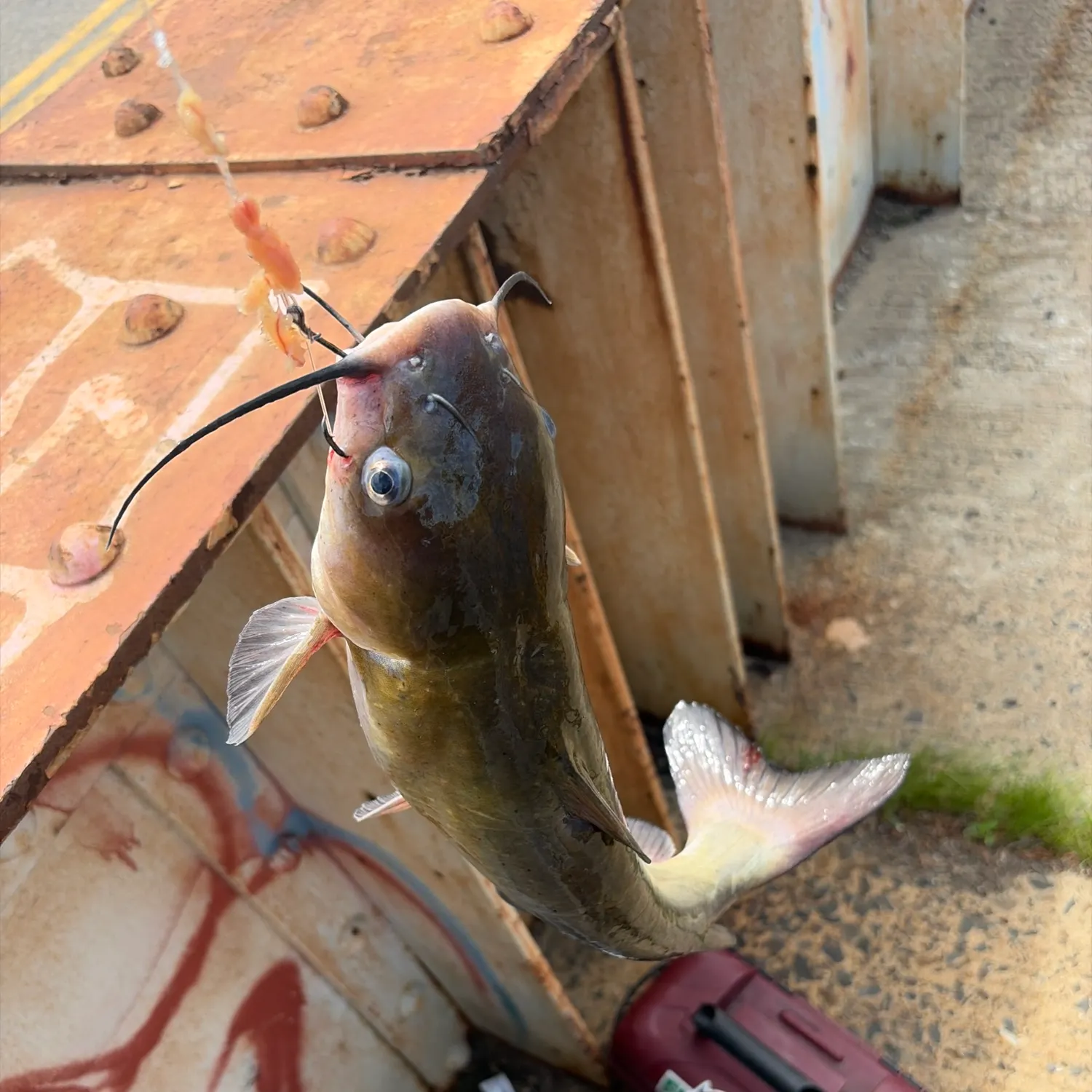 catch