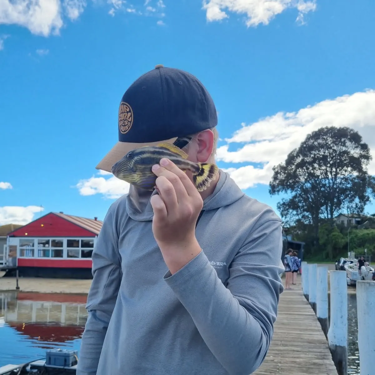 The most recent Yellowfin leatherjacket catches on Fishbrain