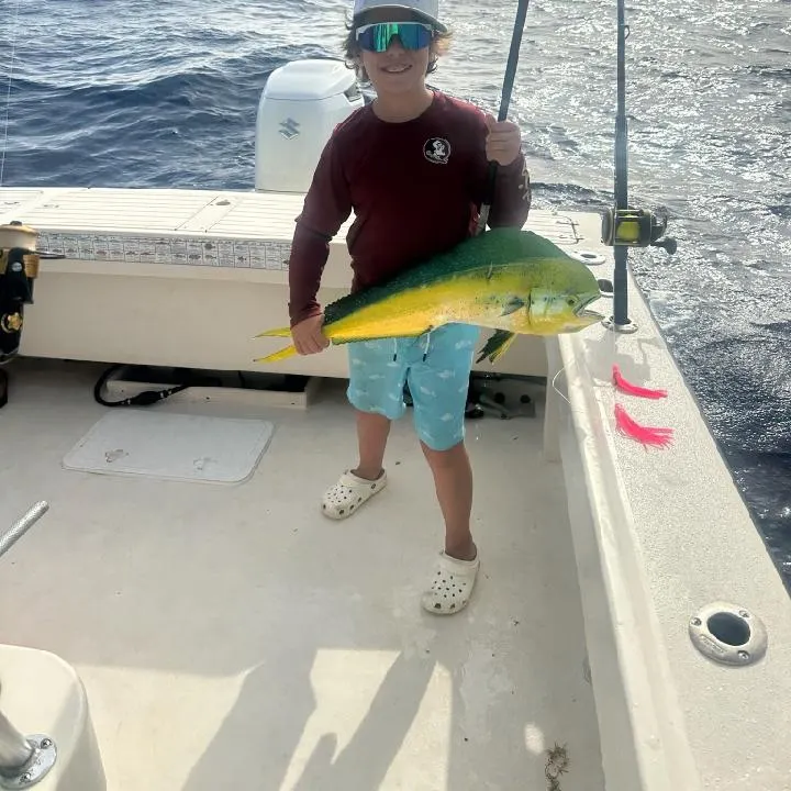 The most recent Common dolphinfish catches on Fishbrain