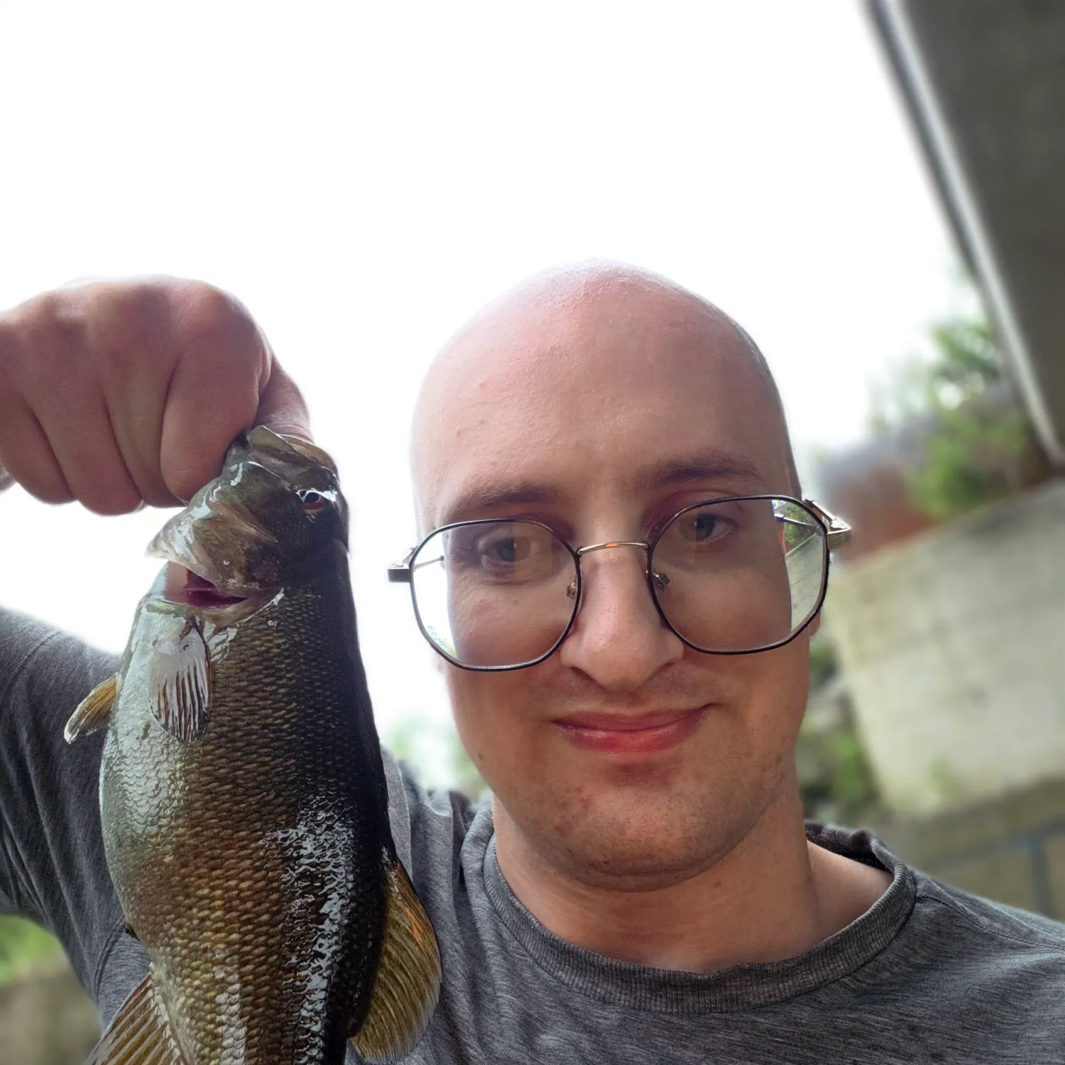 Smallmouth bass caught on Fishbrain