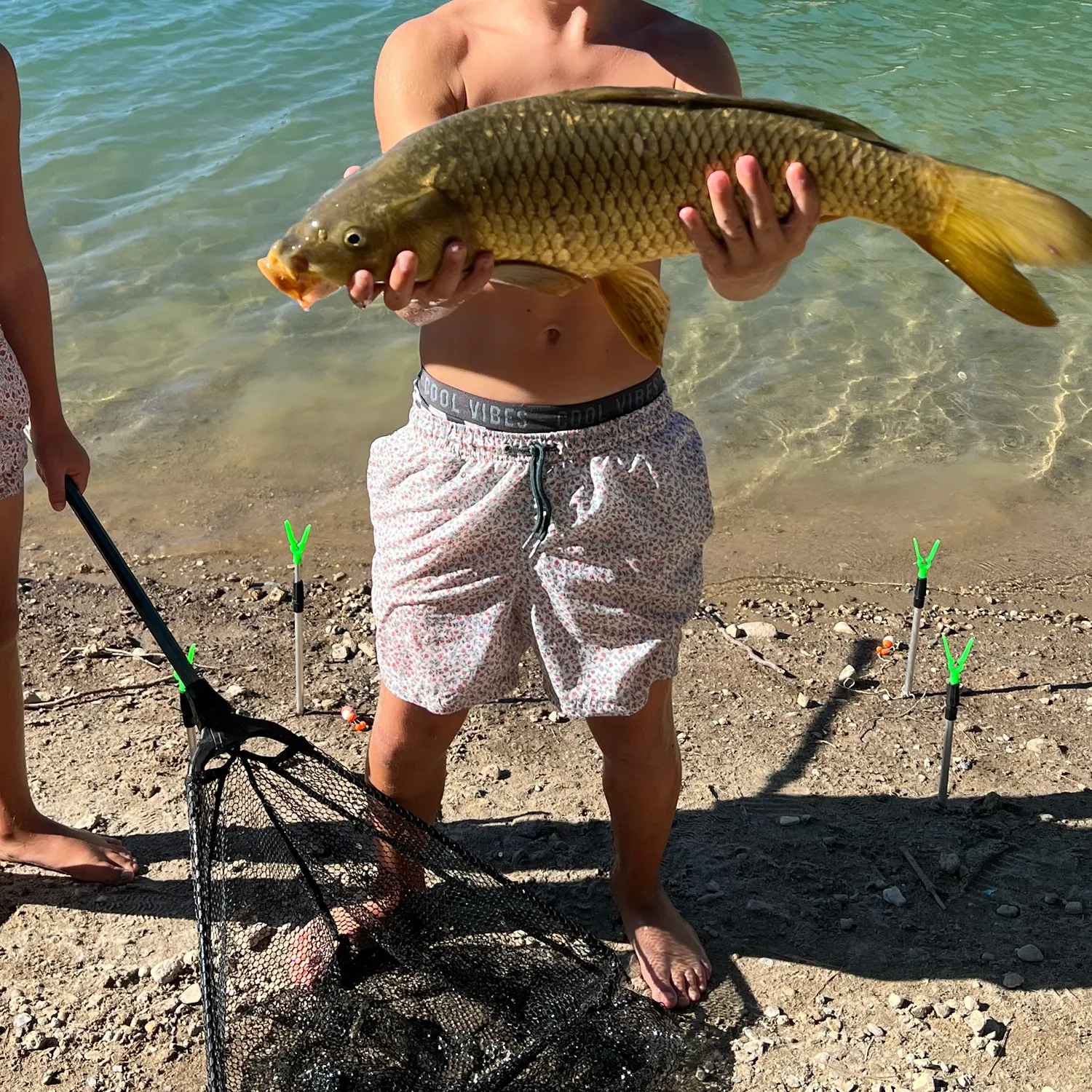 Common carp caught on Fishbrain