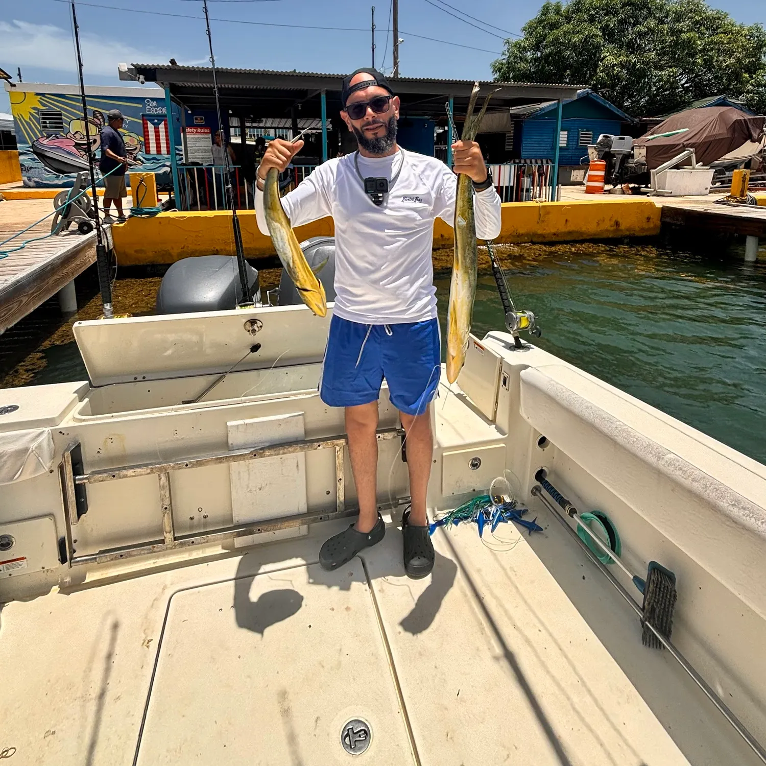 Common dolphinfish caught on Fishbrain