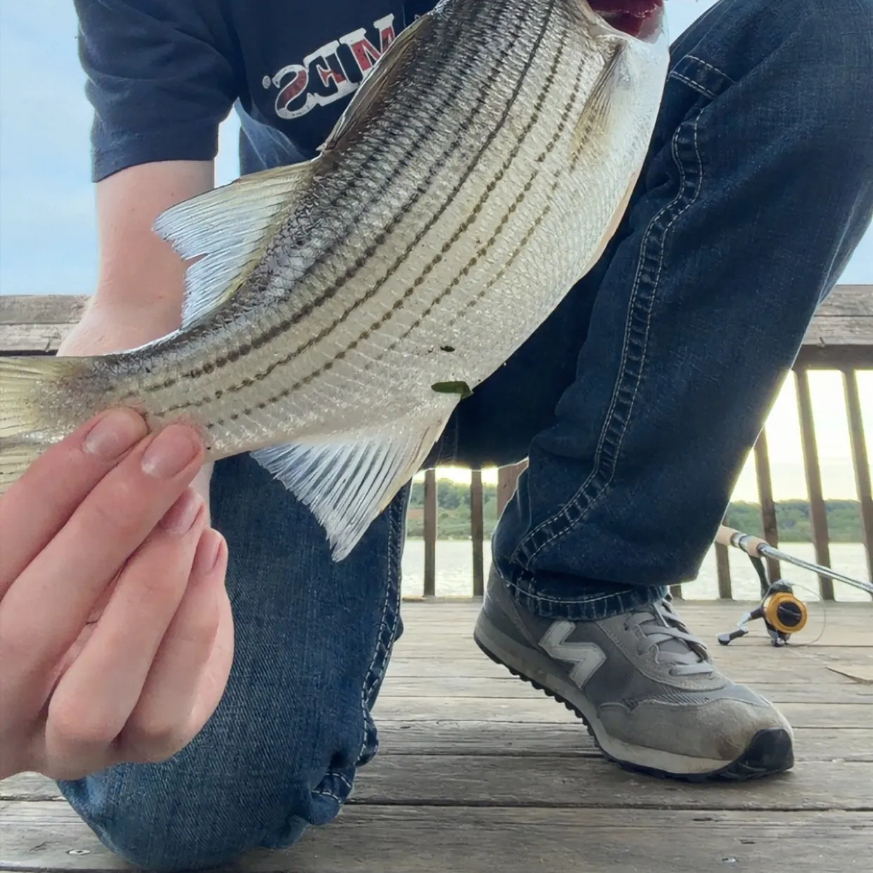 Wiper caught on Fishbrain