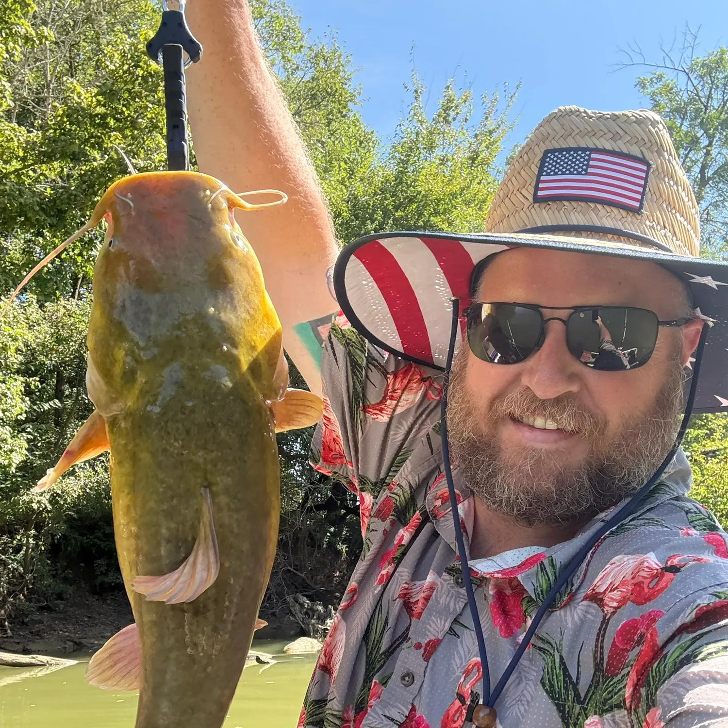 Flathead catfish caught on Fishbrain