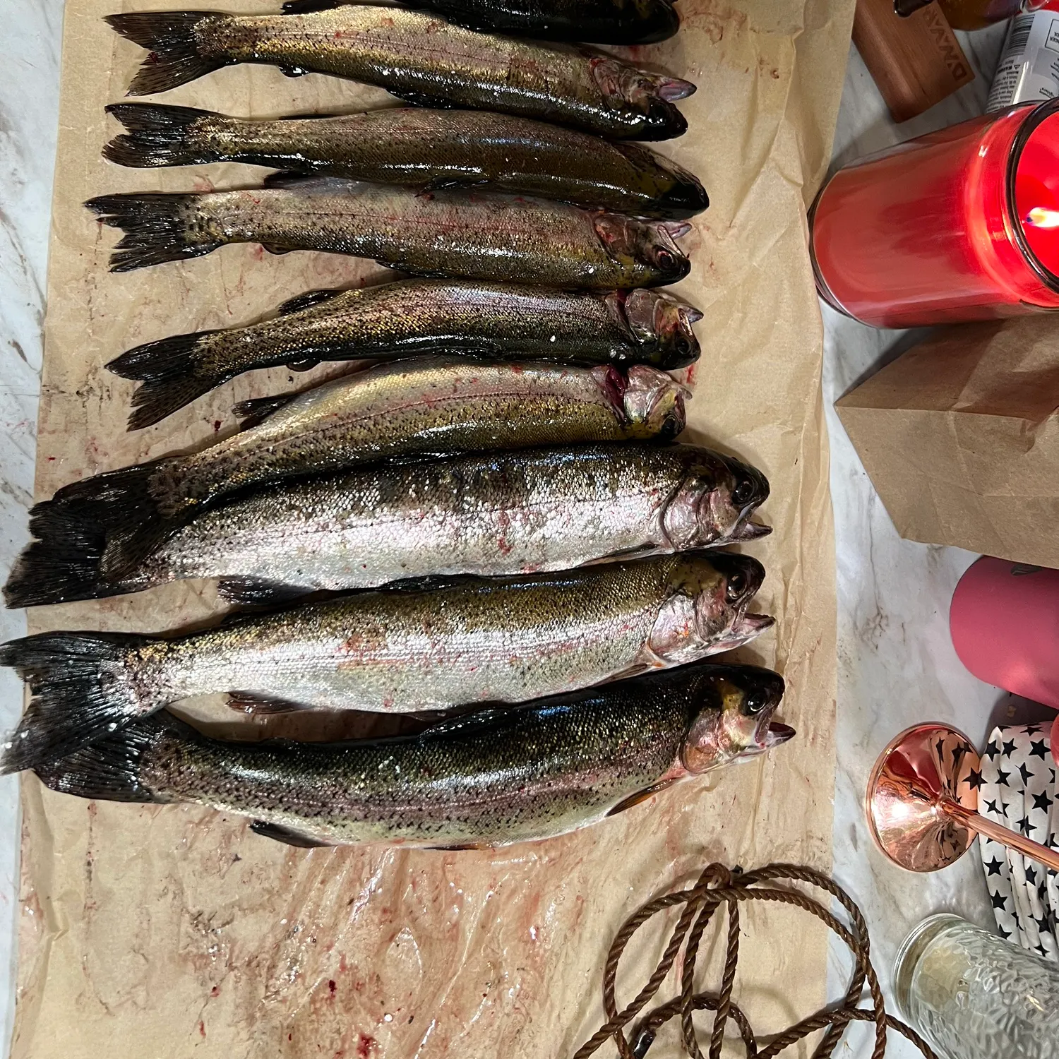 recently logged catches