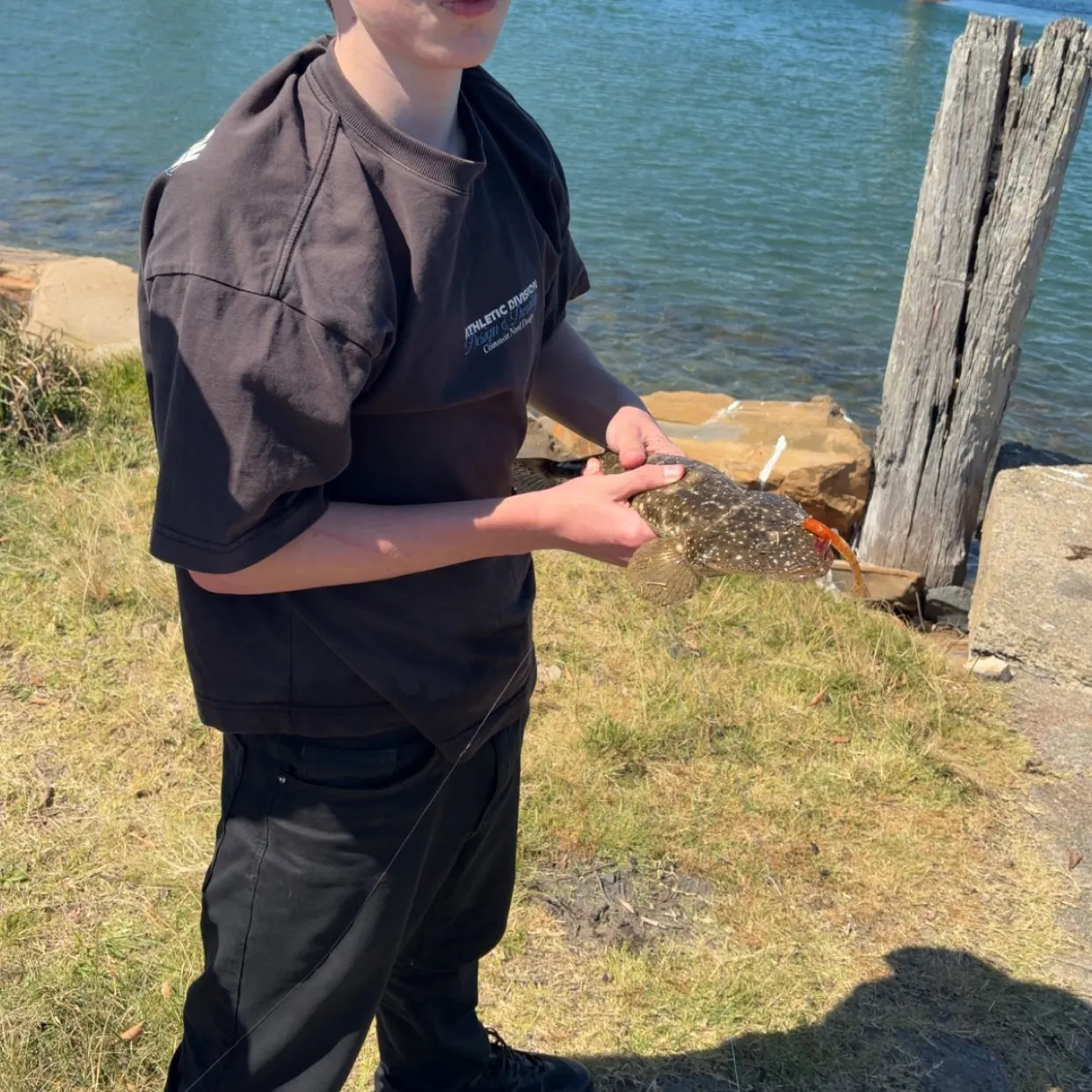 Dusky flathead caught on Fishbrain