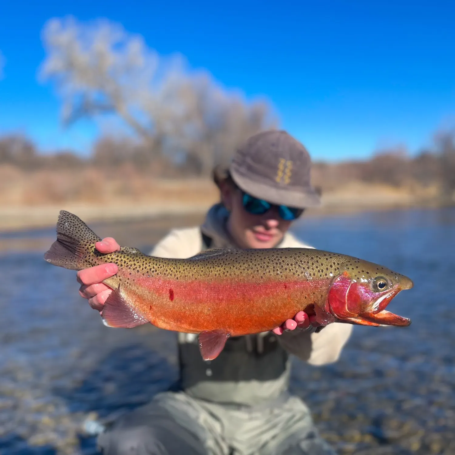 The most recent Cutbow catches on Fishbrain