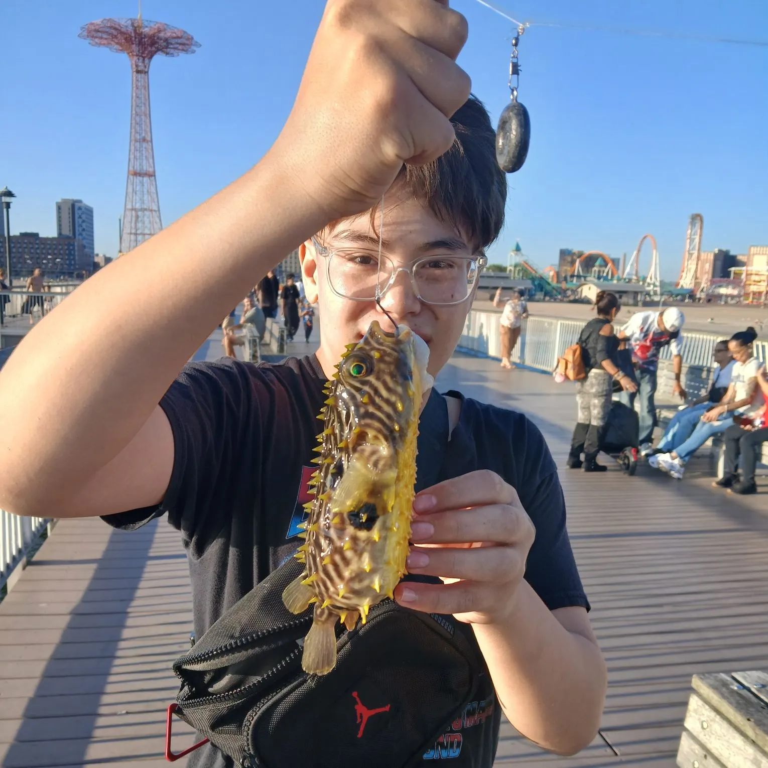 The most recent Spot-fin porcupinefish catches on Fishbrain