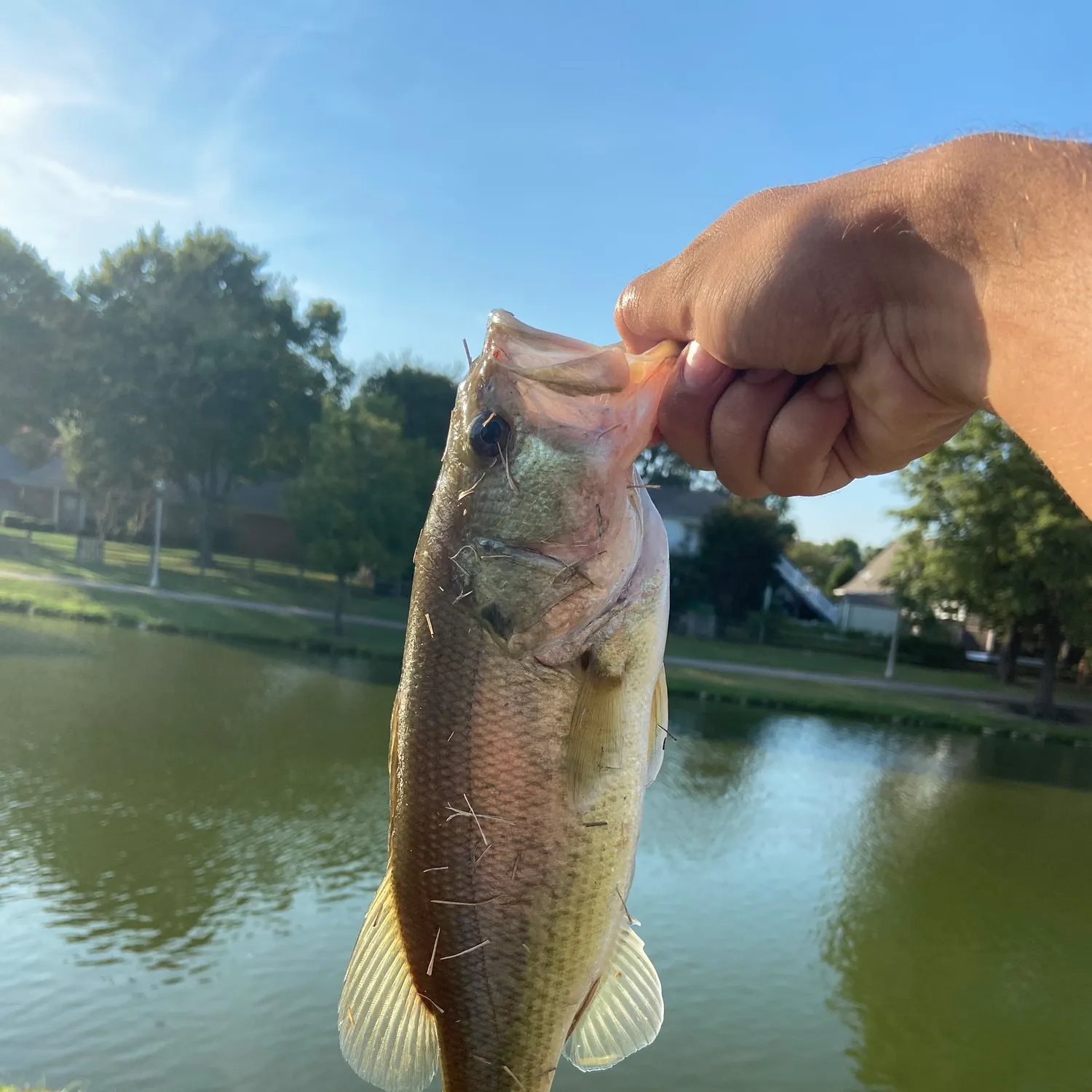 catch