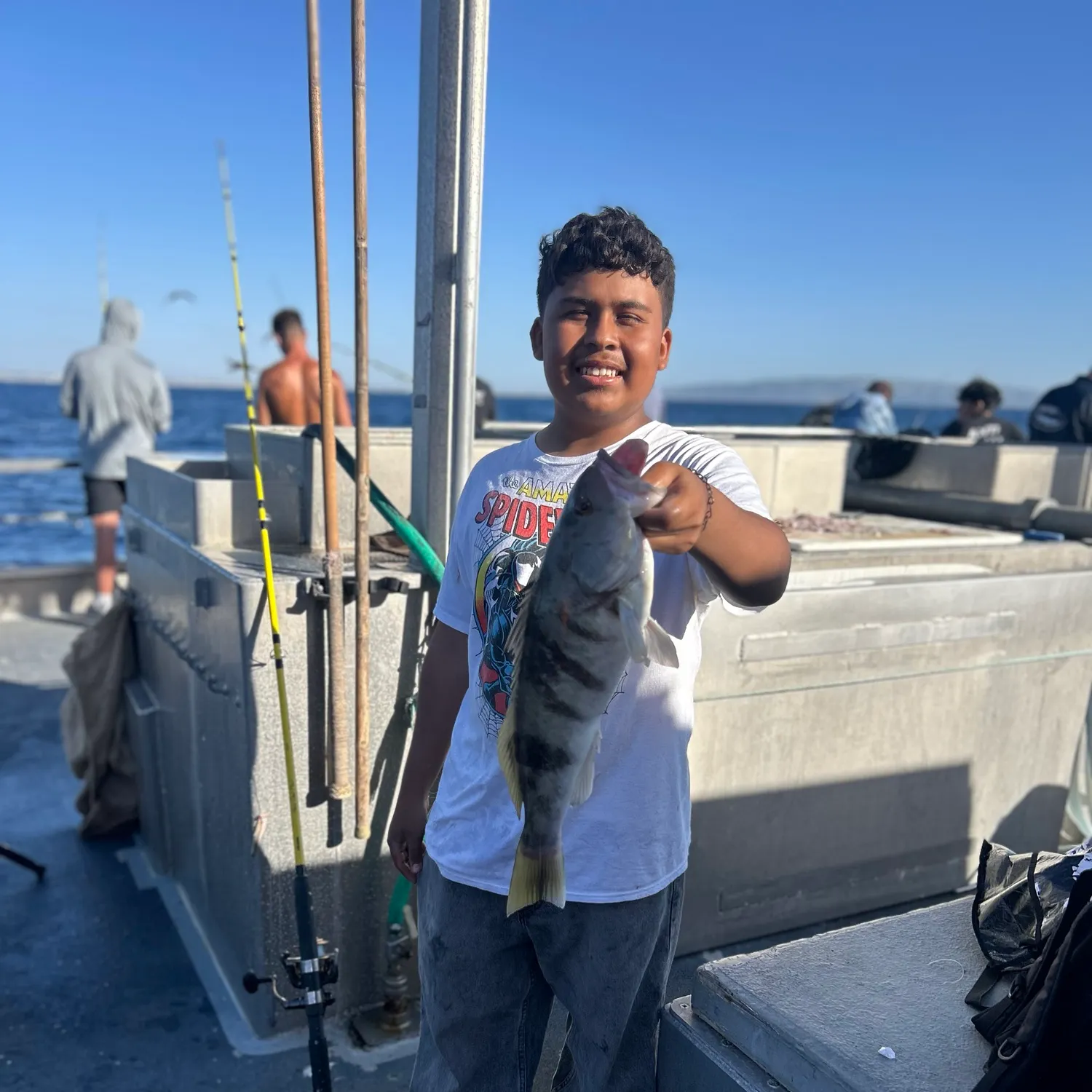 Barred sand bass caught on Fishbrain