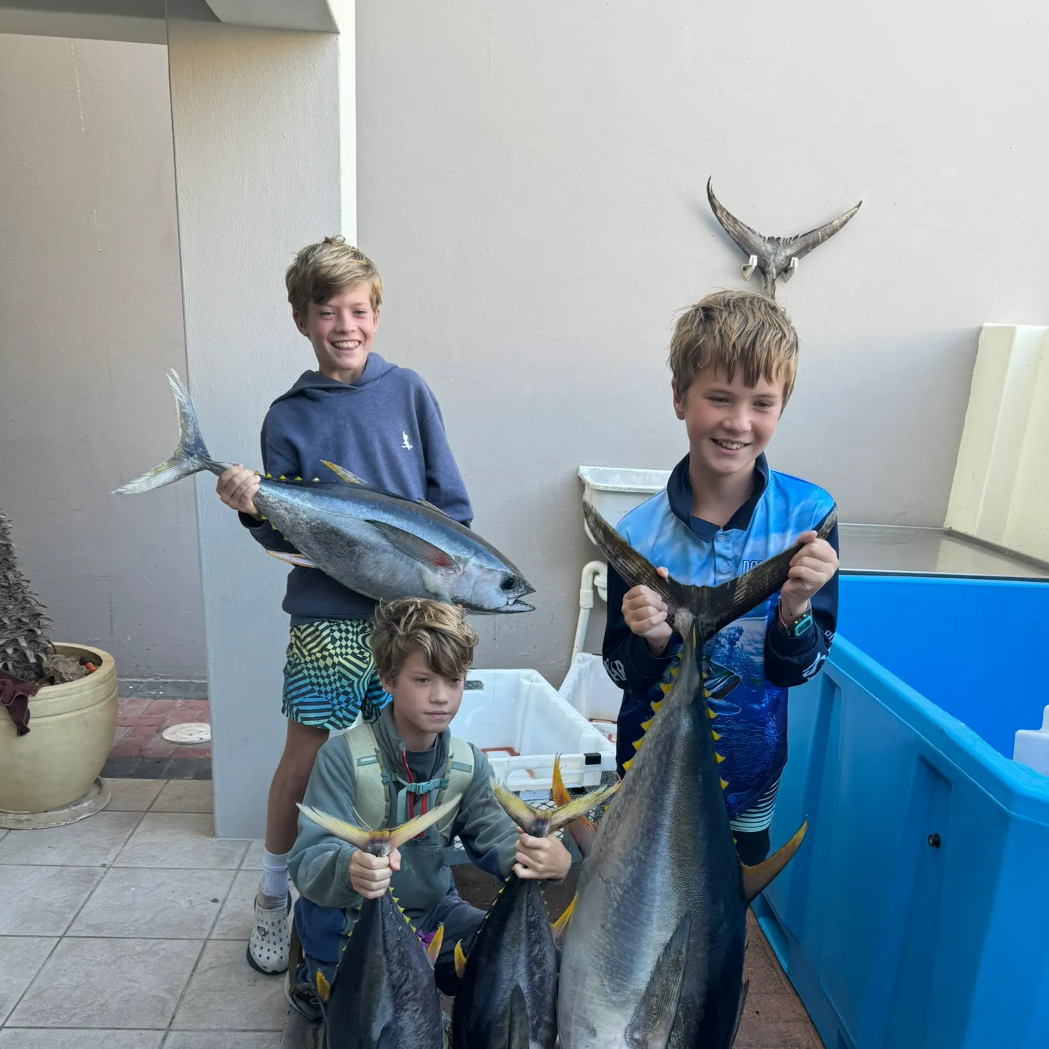 The most recent Yellowfin tuna catches on Fishbrain