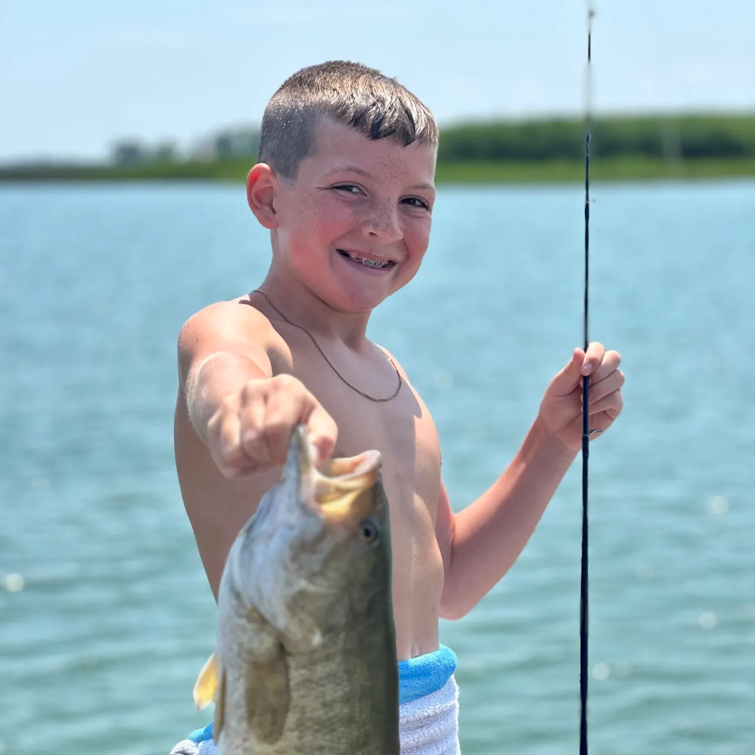 The most recent Smallmouth bass catches on Fishbrain