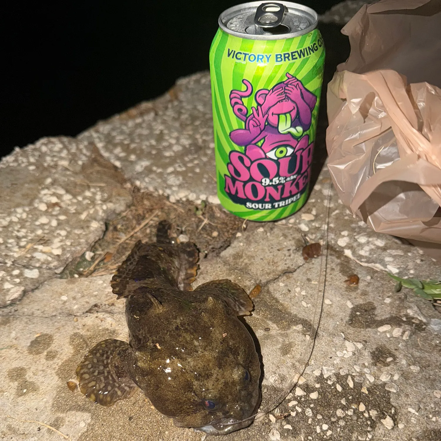 The most recent Gulf toadfish catches on Fishbrain