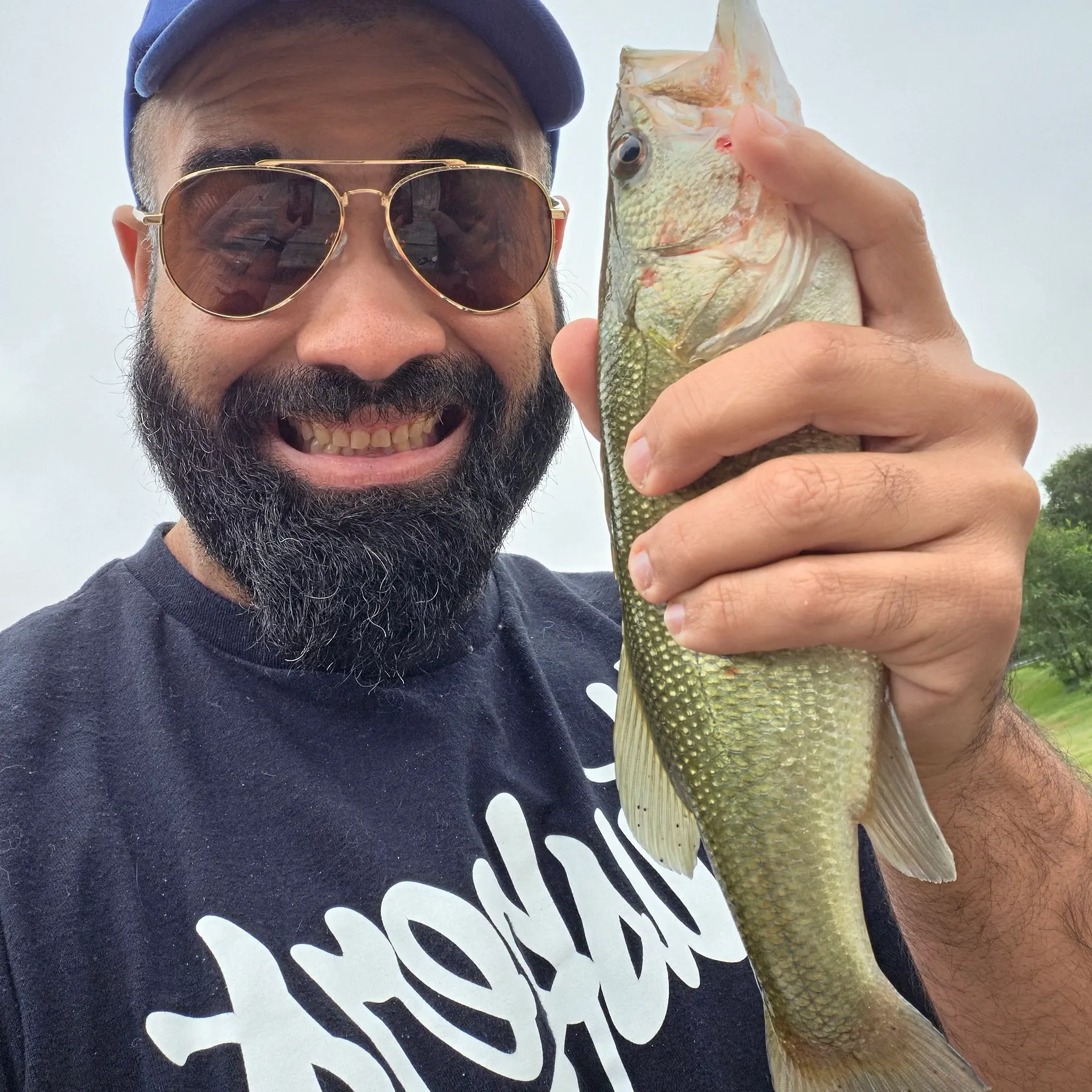 Largemouth bass caught on Fishbrain