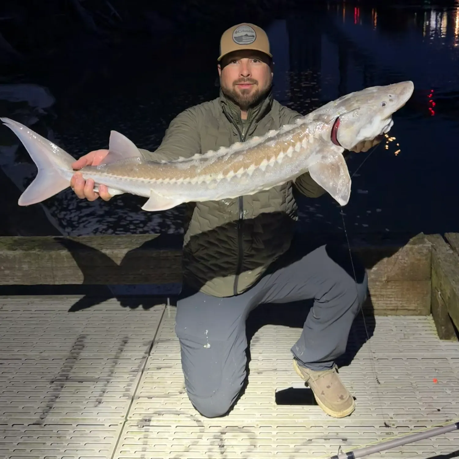 The most recent White sturgeon catches on Fishbrain