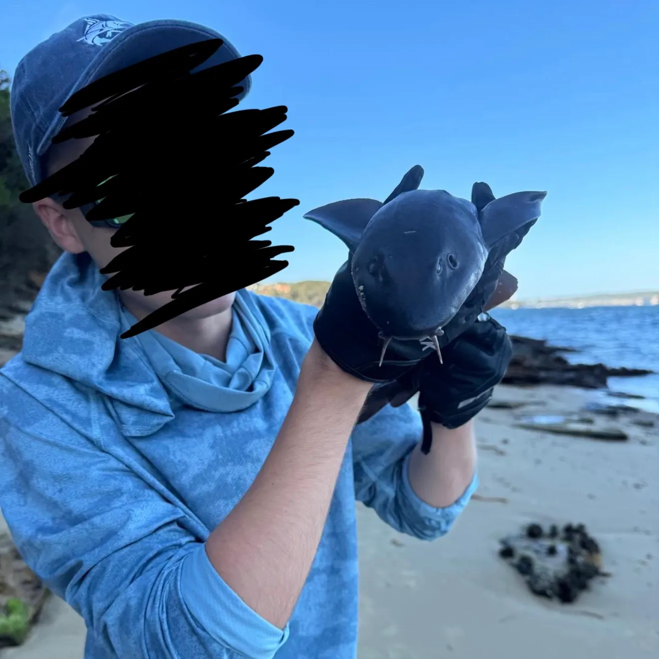 The most recent Blind shark catches on Fishbrain