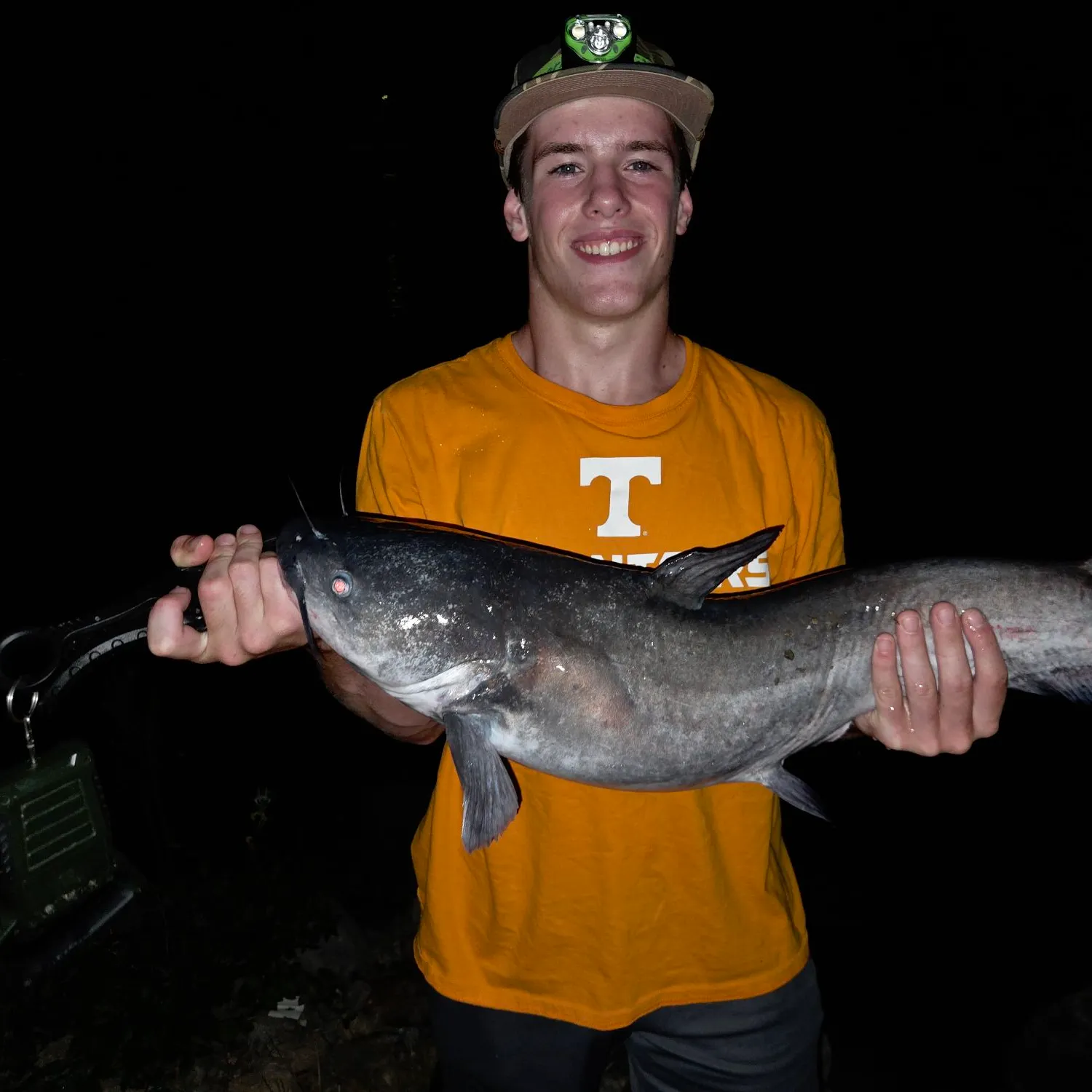 Blue catfish caught on Fishbrain
