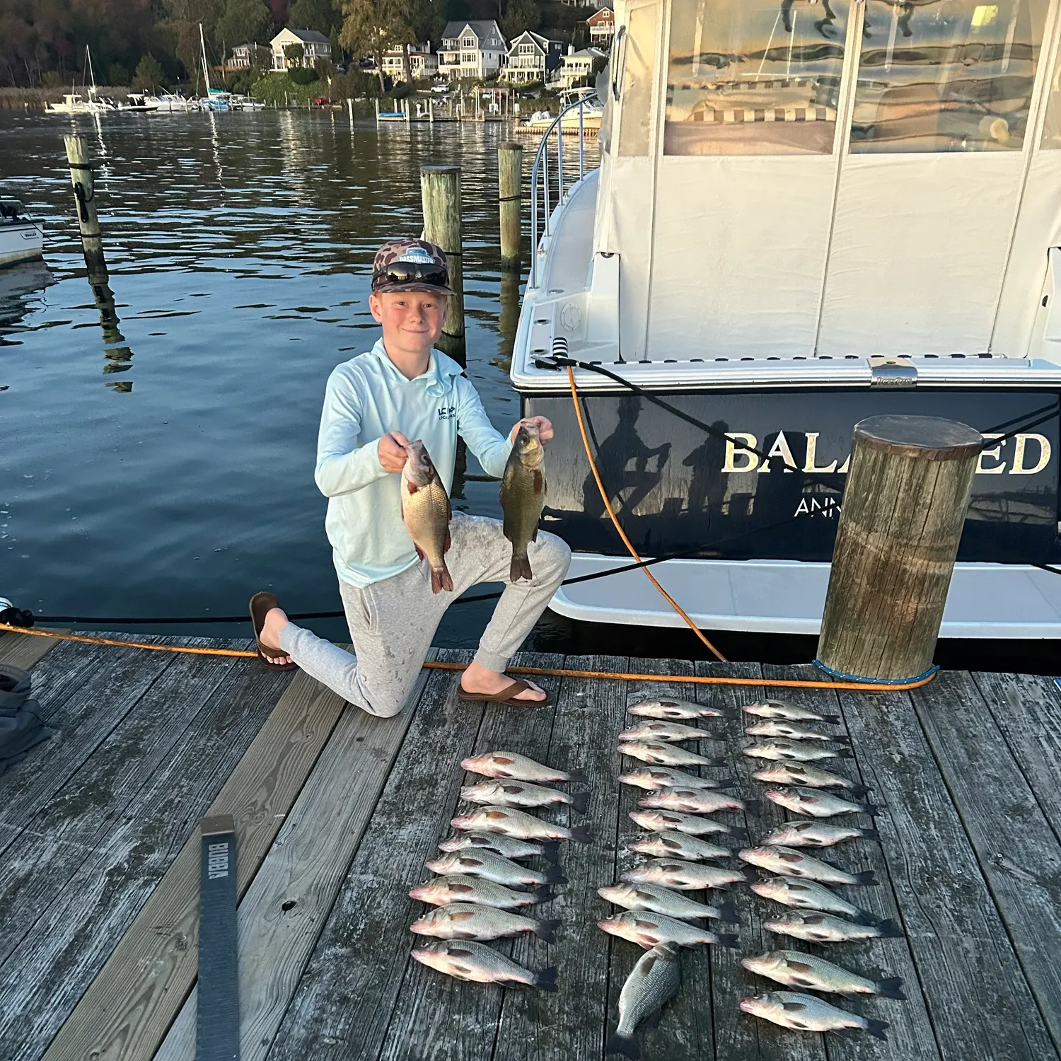 White perch caught on Fishbrain