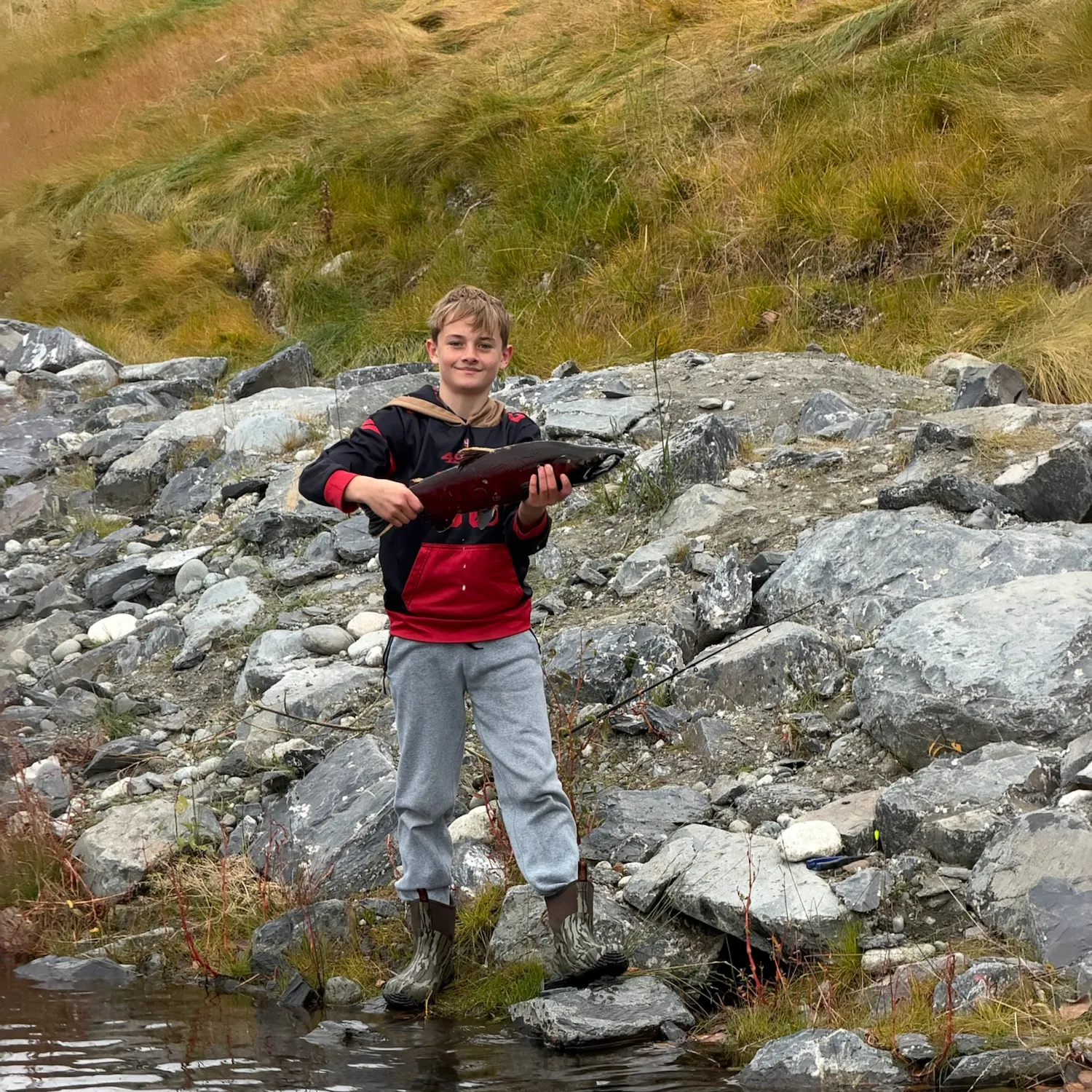 Coho salmon caught on Fishbrain