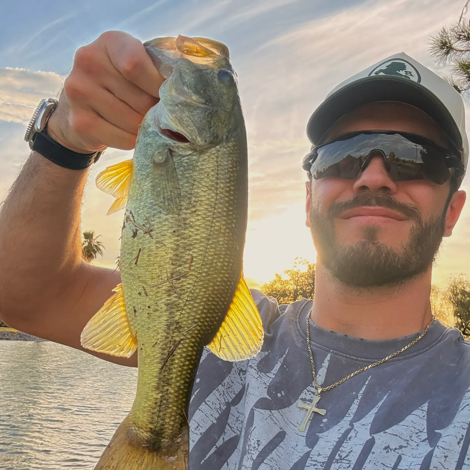 Largemouth bass caught on Fishbrain