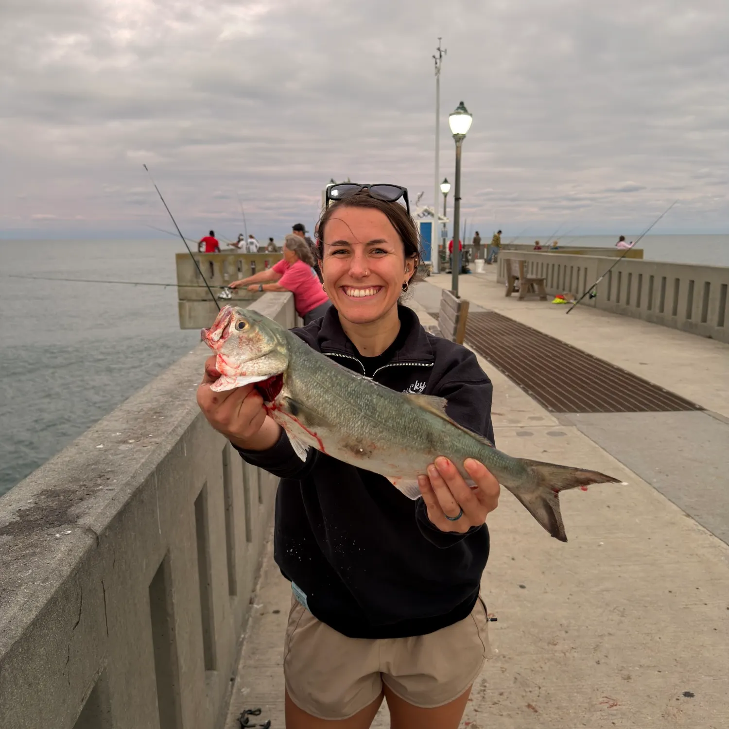 Bluefish caught on Fishbrain