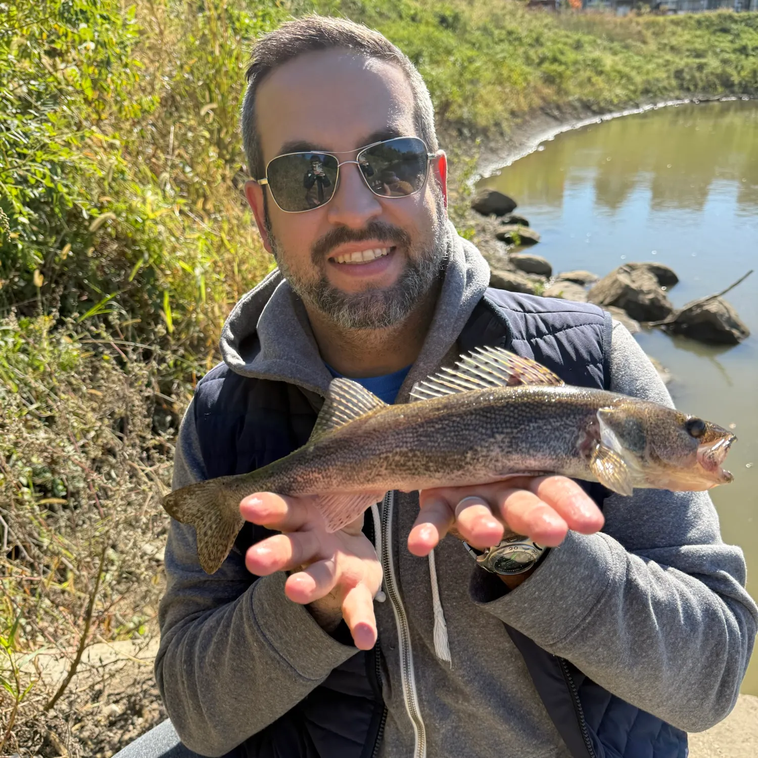 Saugeye caught on Fishbrain
