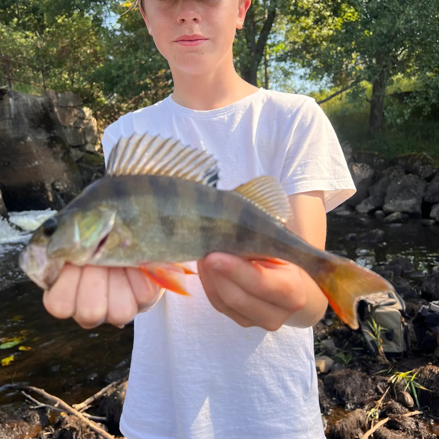 Fish caught on Fishbrain