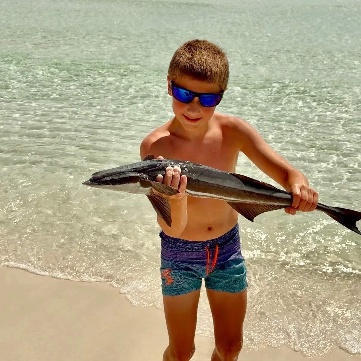 Common remora caught on Fishbrain