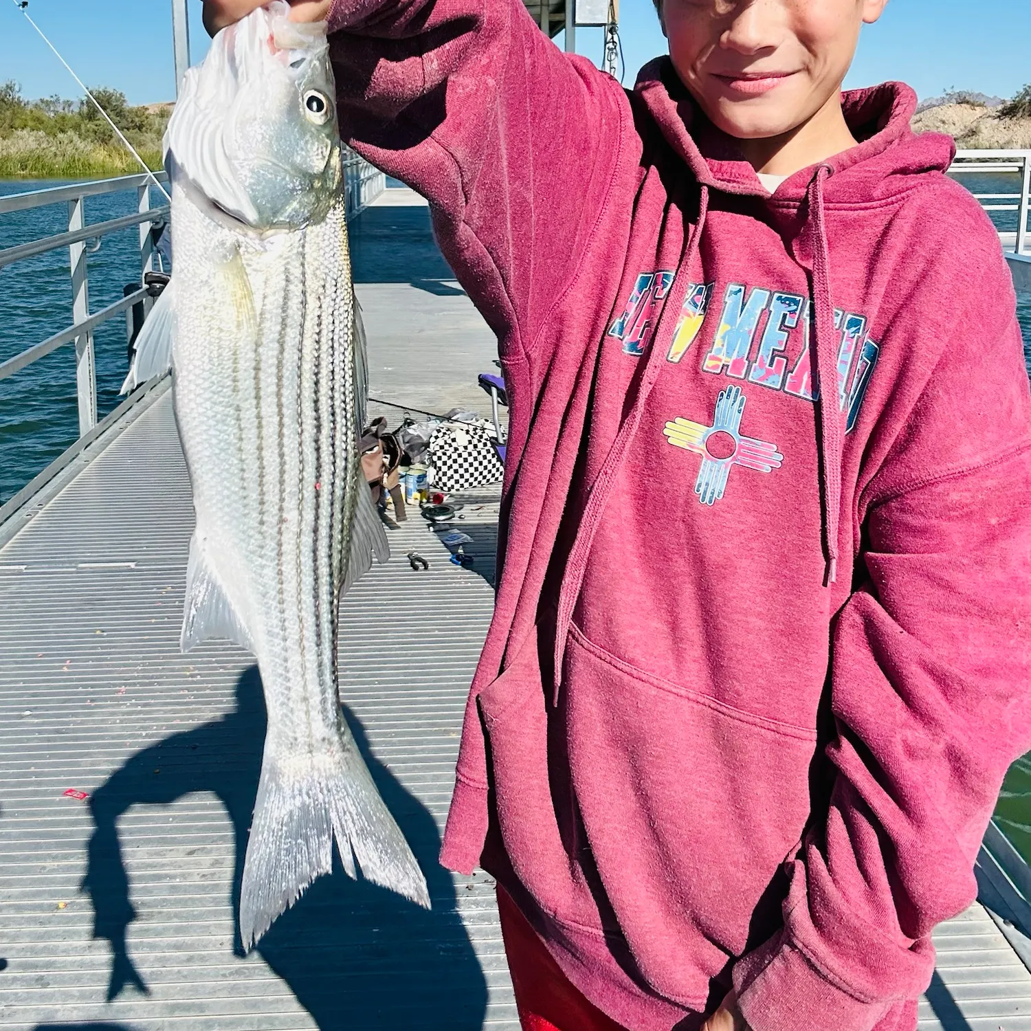 Striped bass caught on Fishbrain