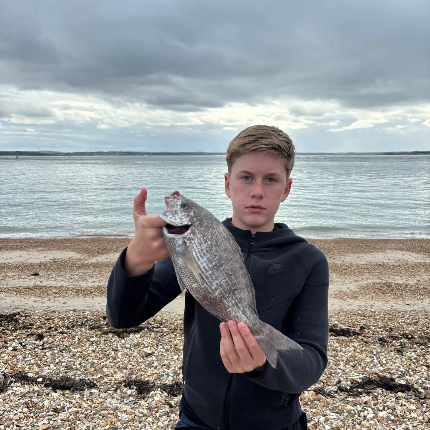 Black seabream caught on Fishbrain
